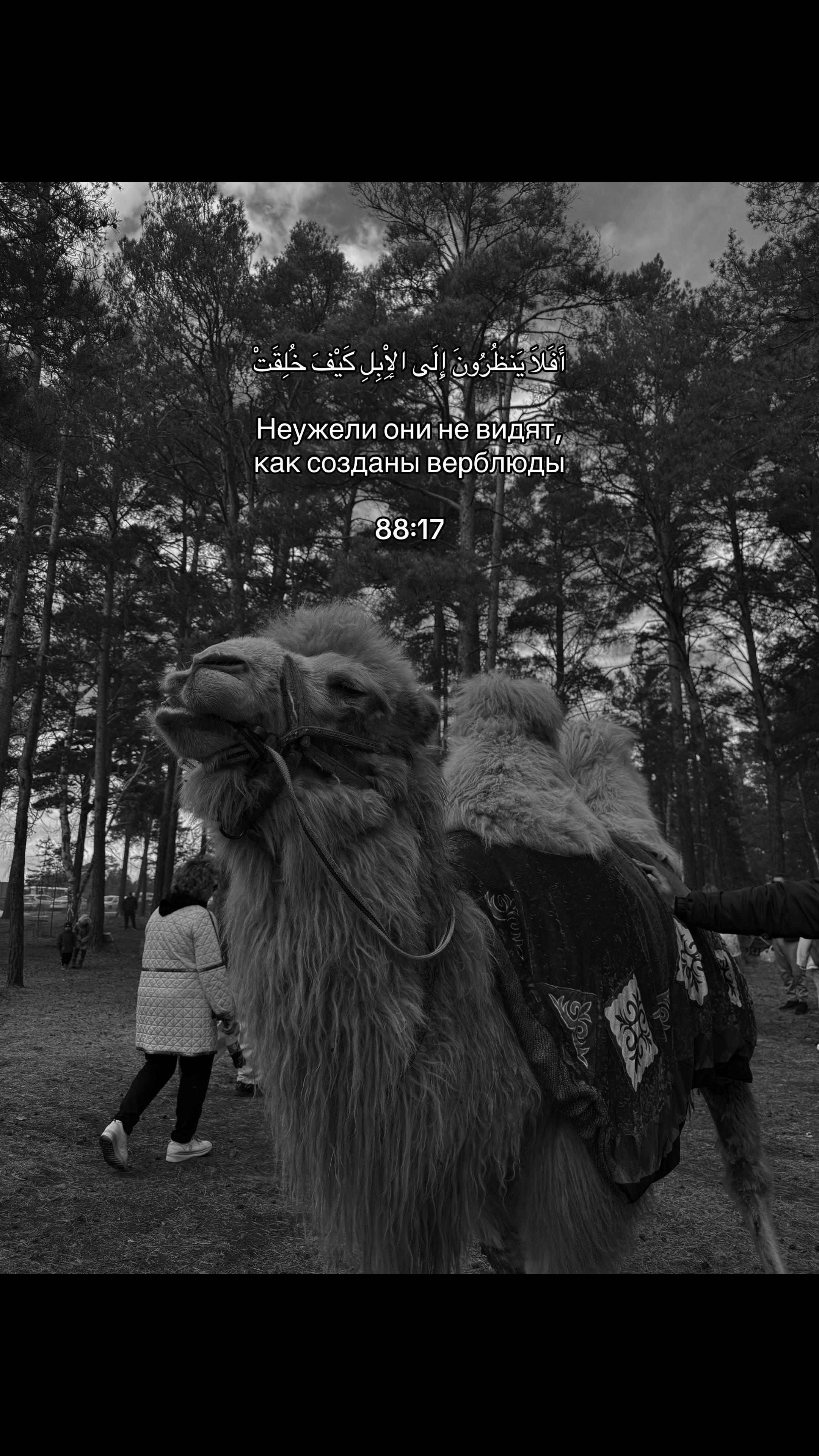 @السلام عليكم