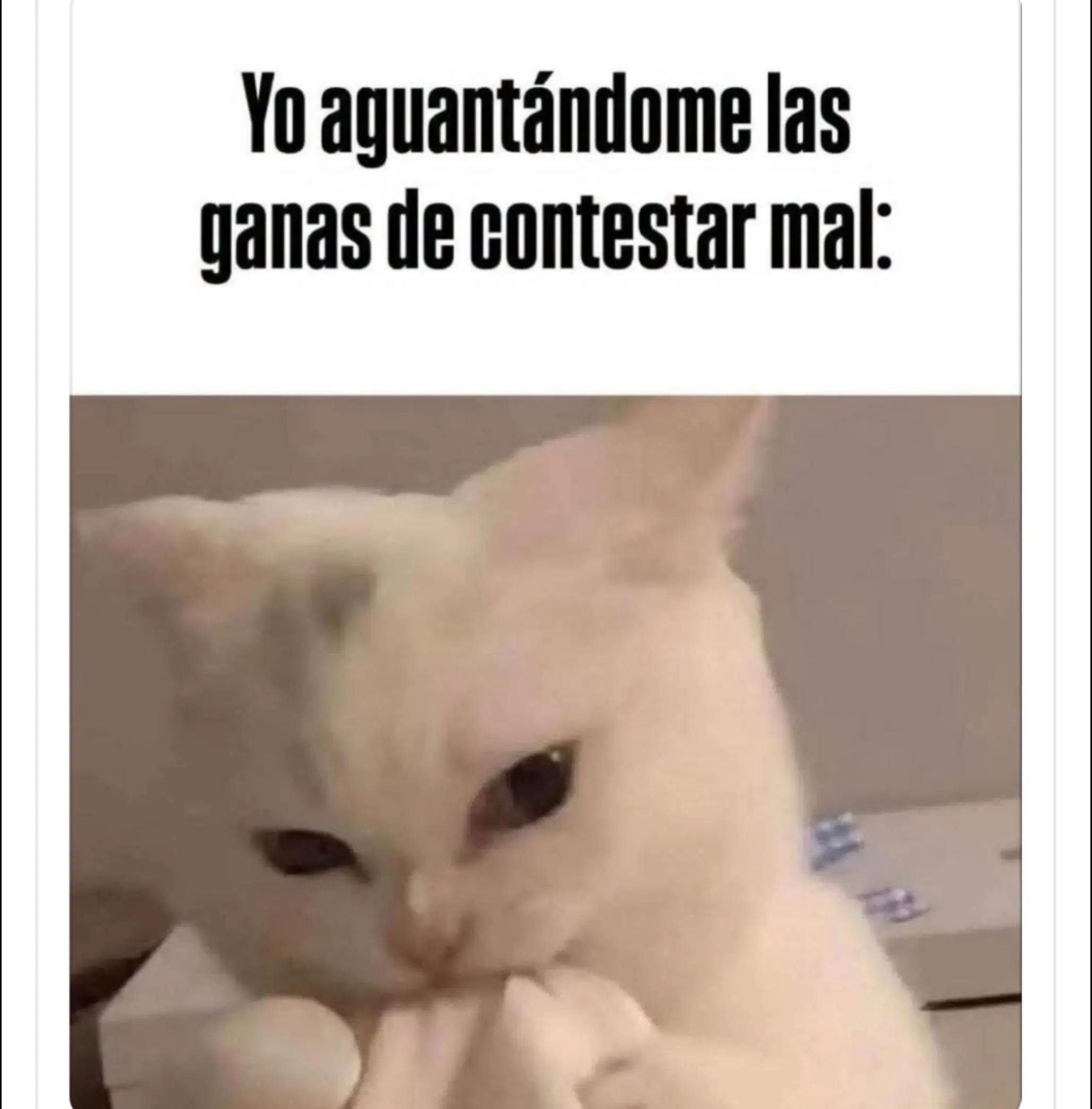 @Anita🦋