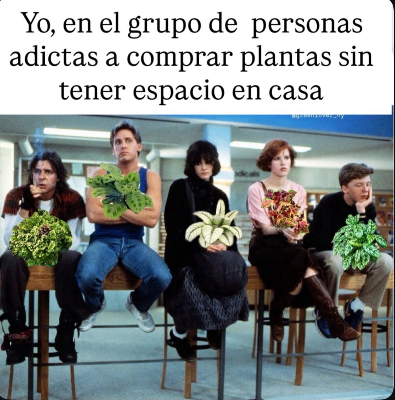 @Greenprincessliveplants
