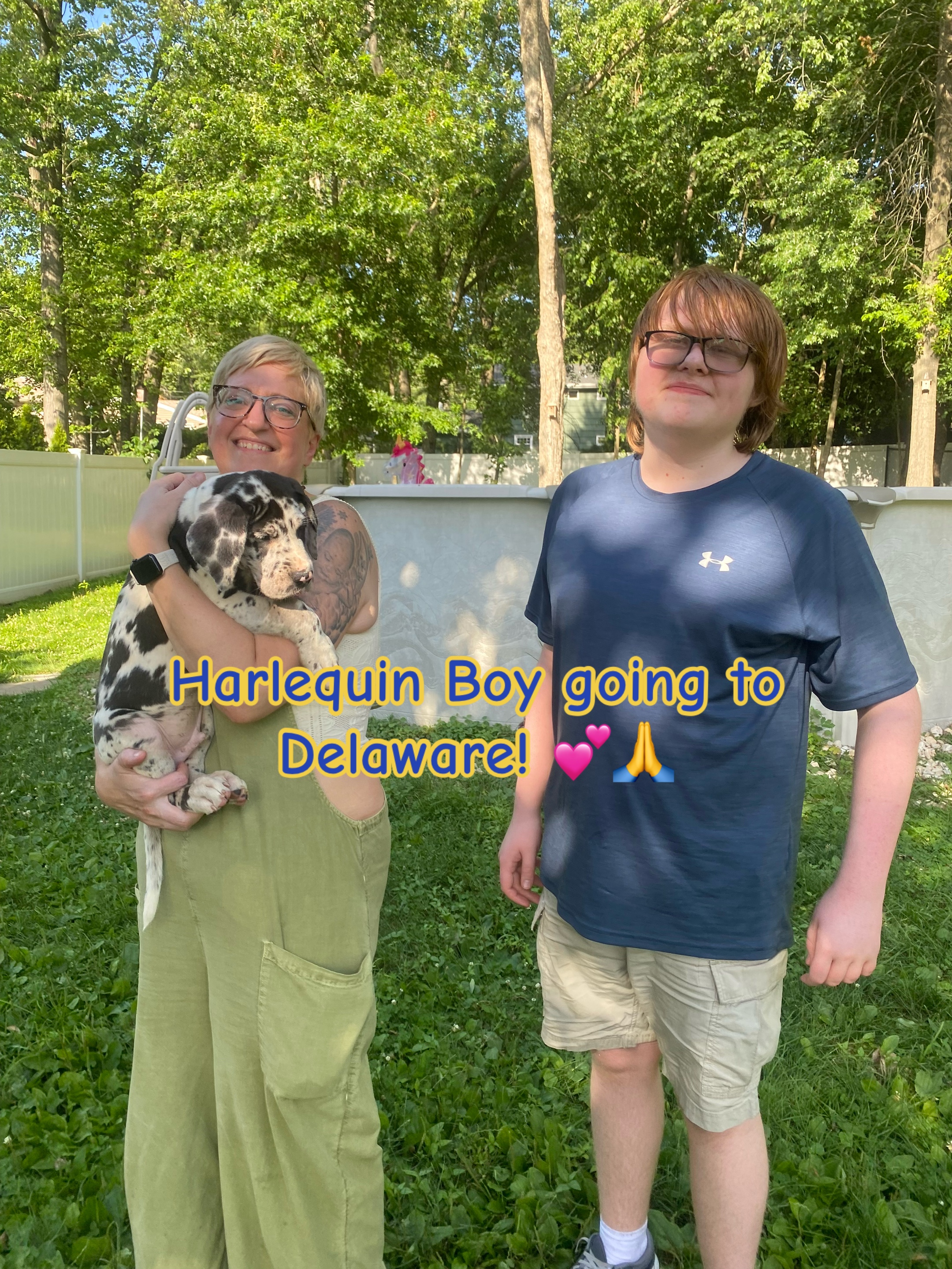@Brifford Great Danes .com