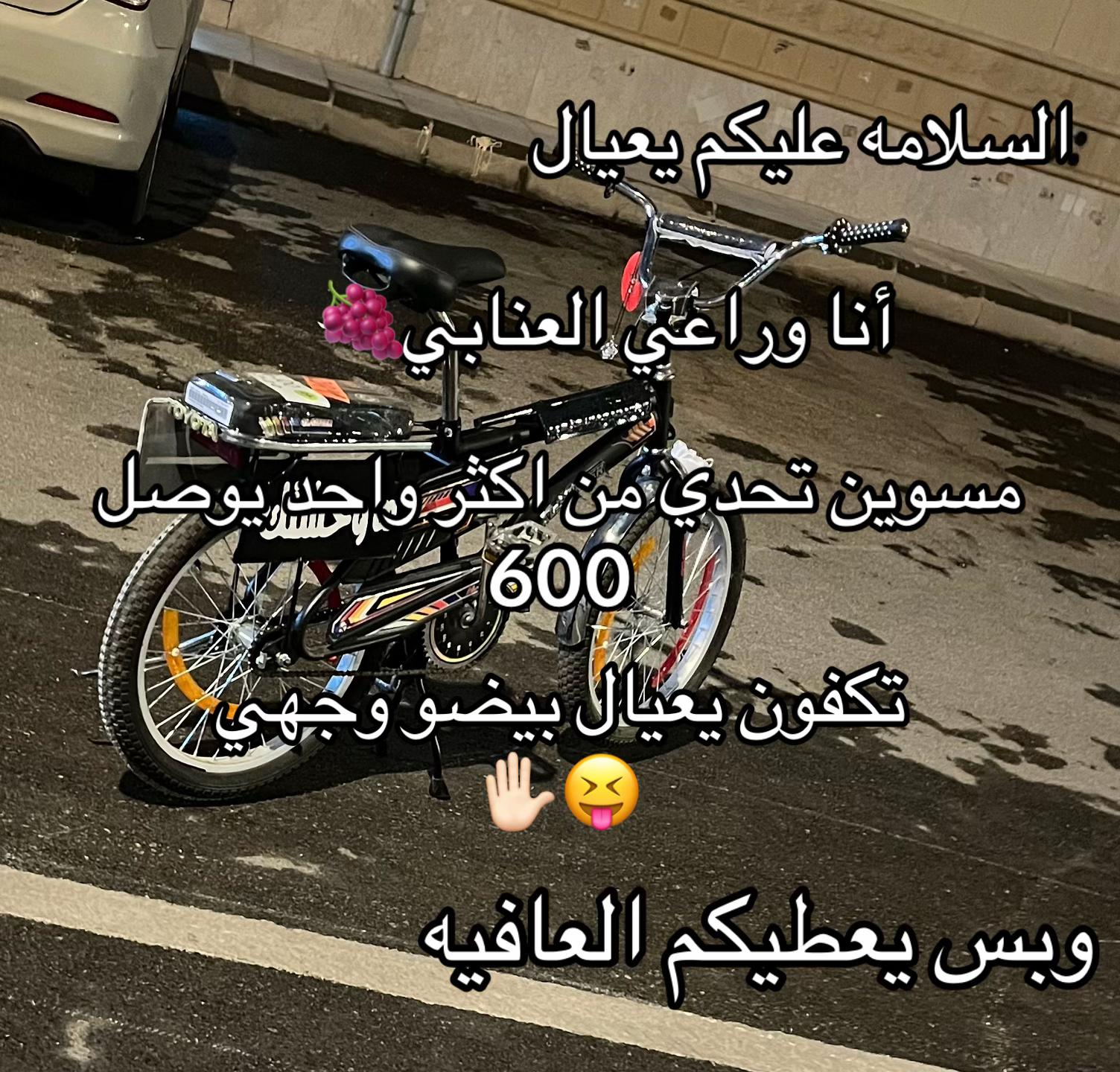 @راعي الأسود 🕶️