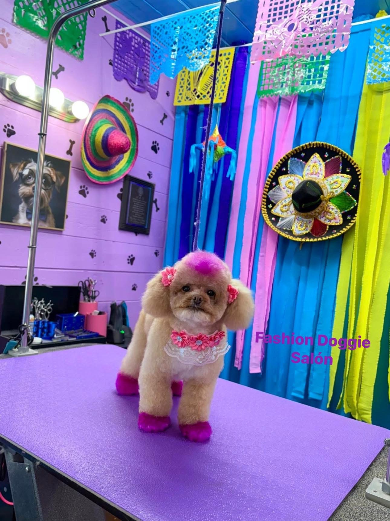 @fashion.doggie.salon