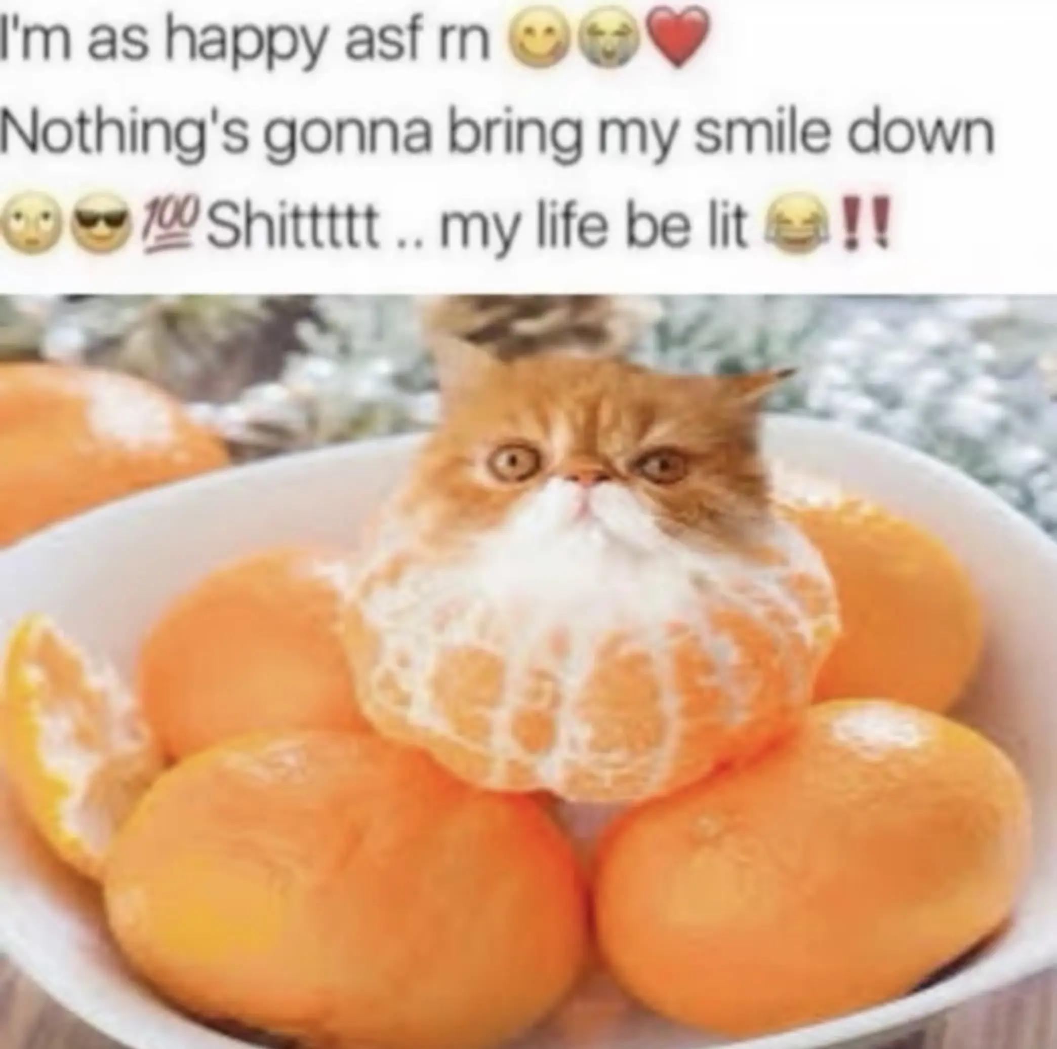 @qhello