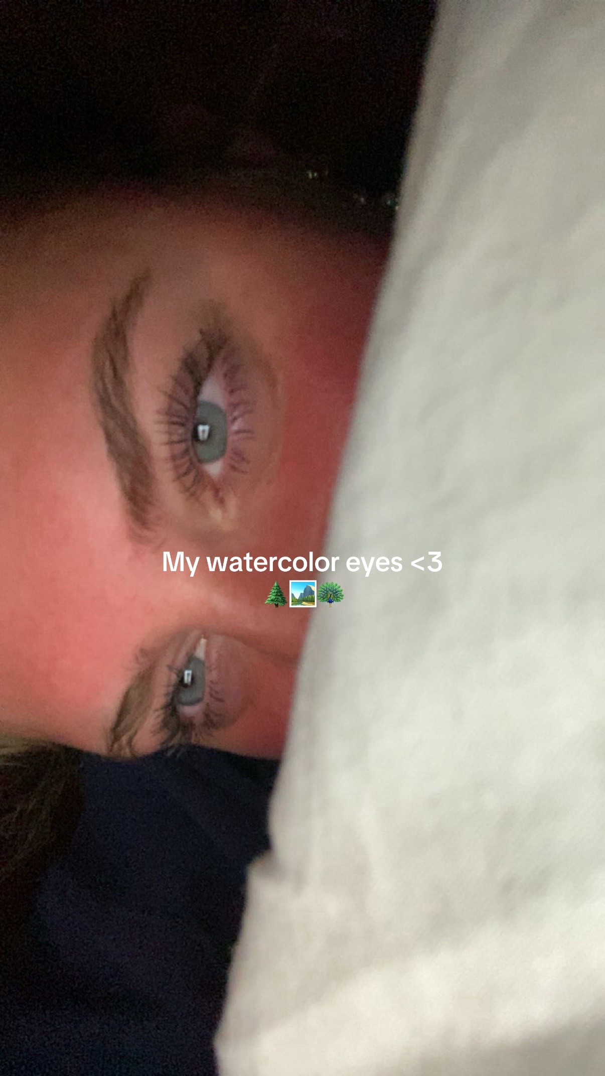 @katesorry