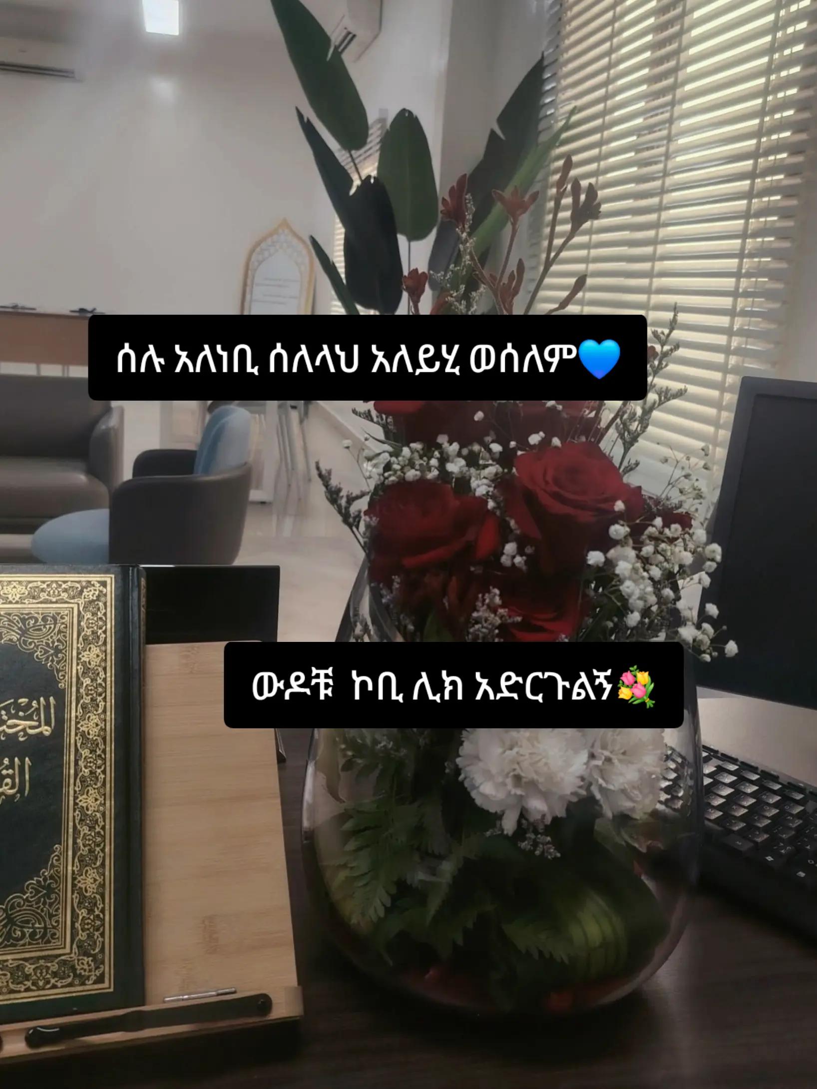 @💙ጦይብሺ💙