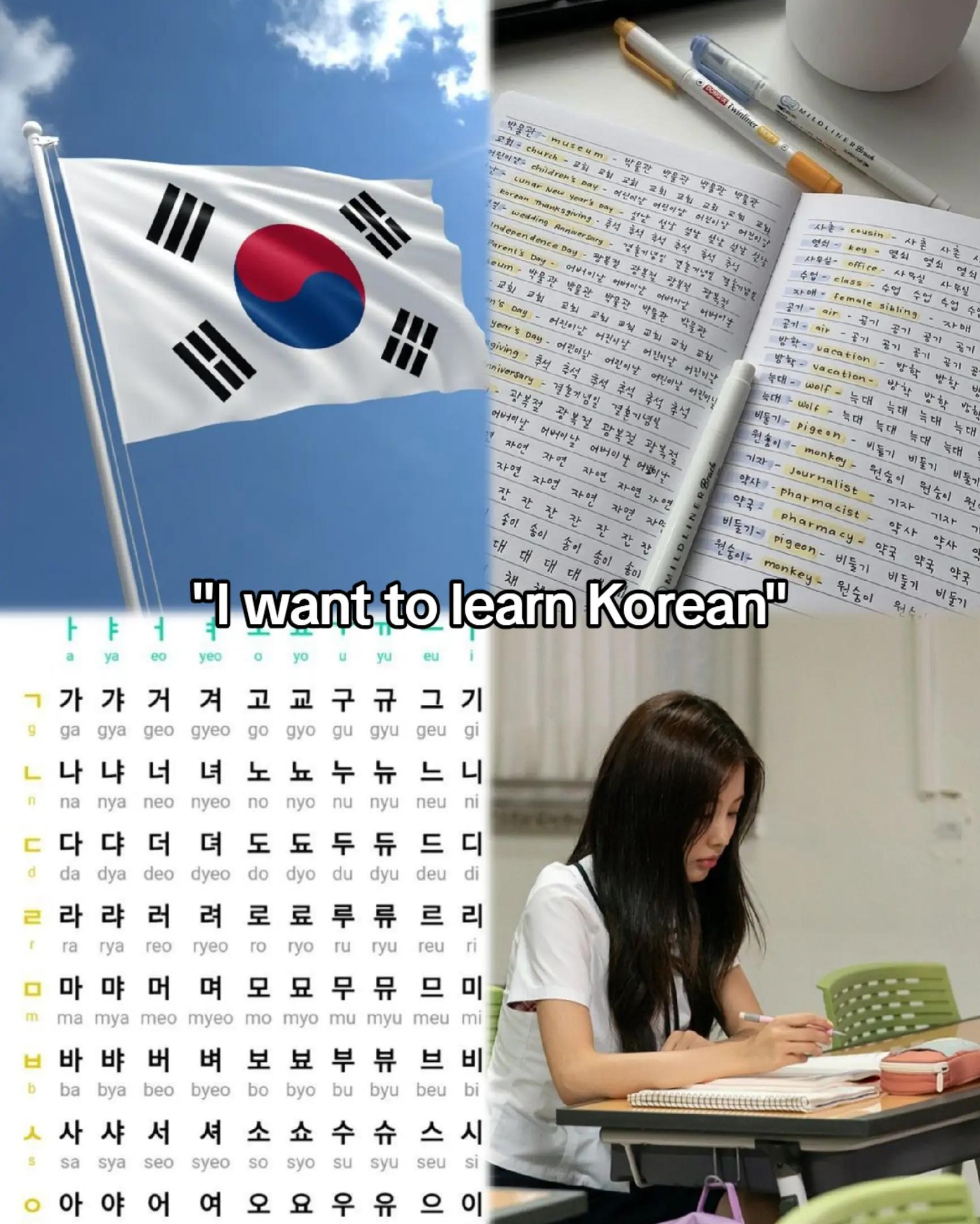 @✨한국