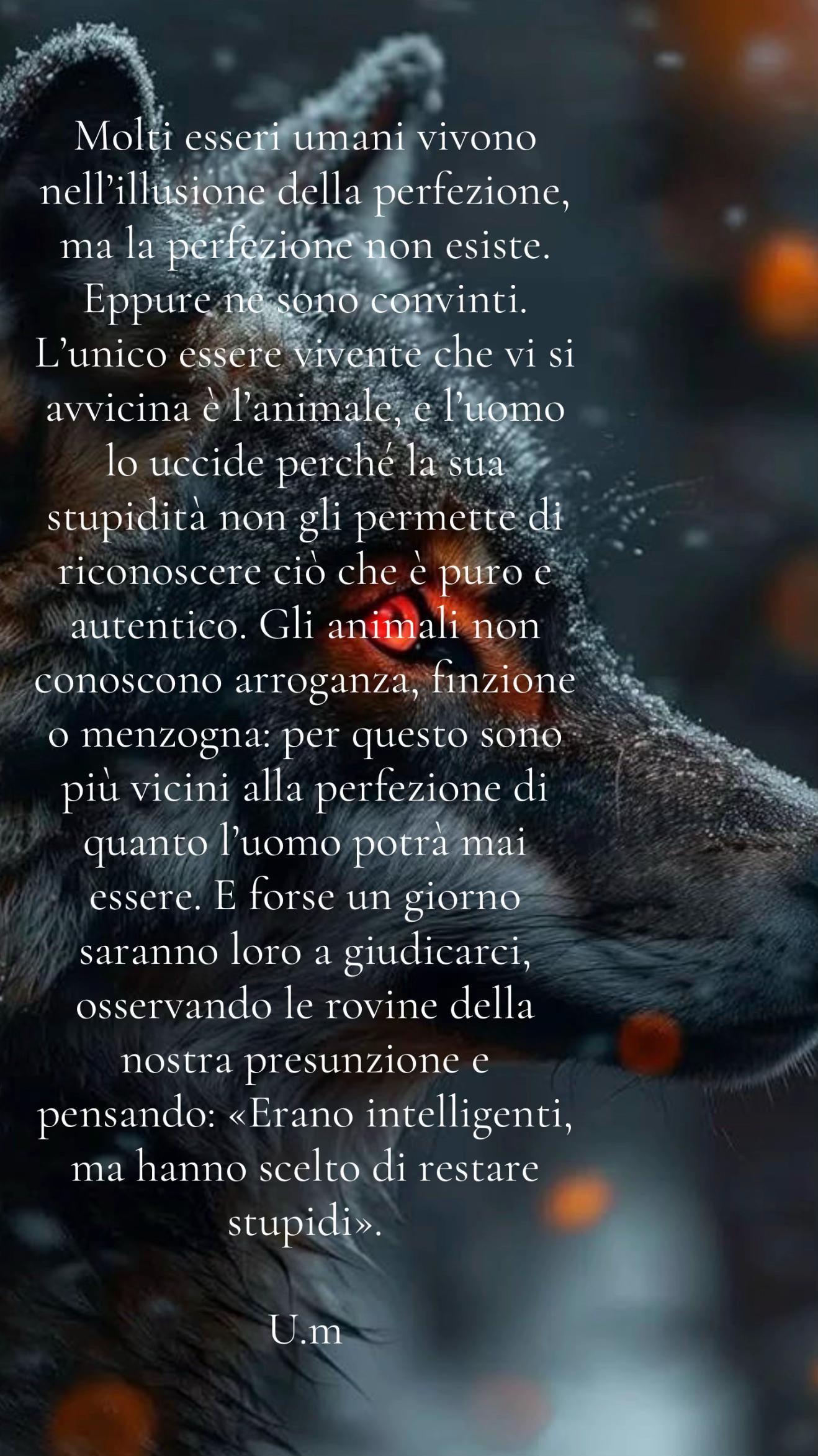 @UmbertoANC