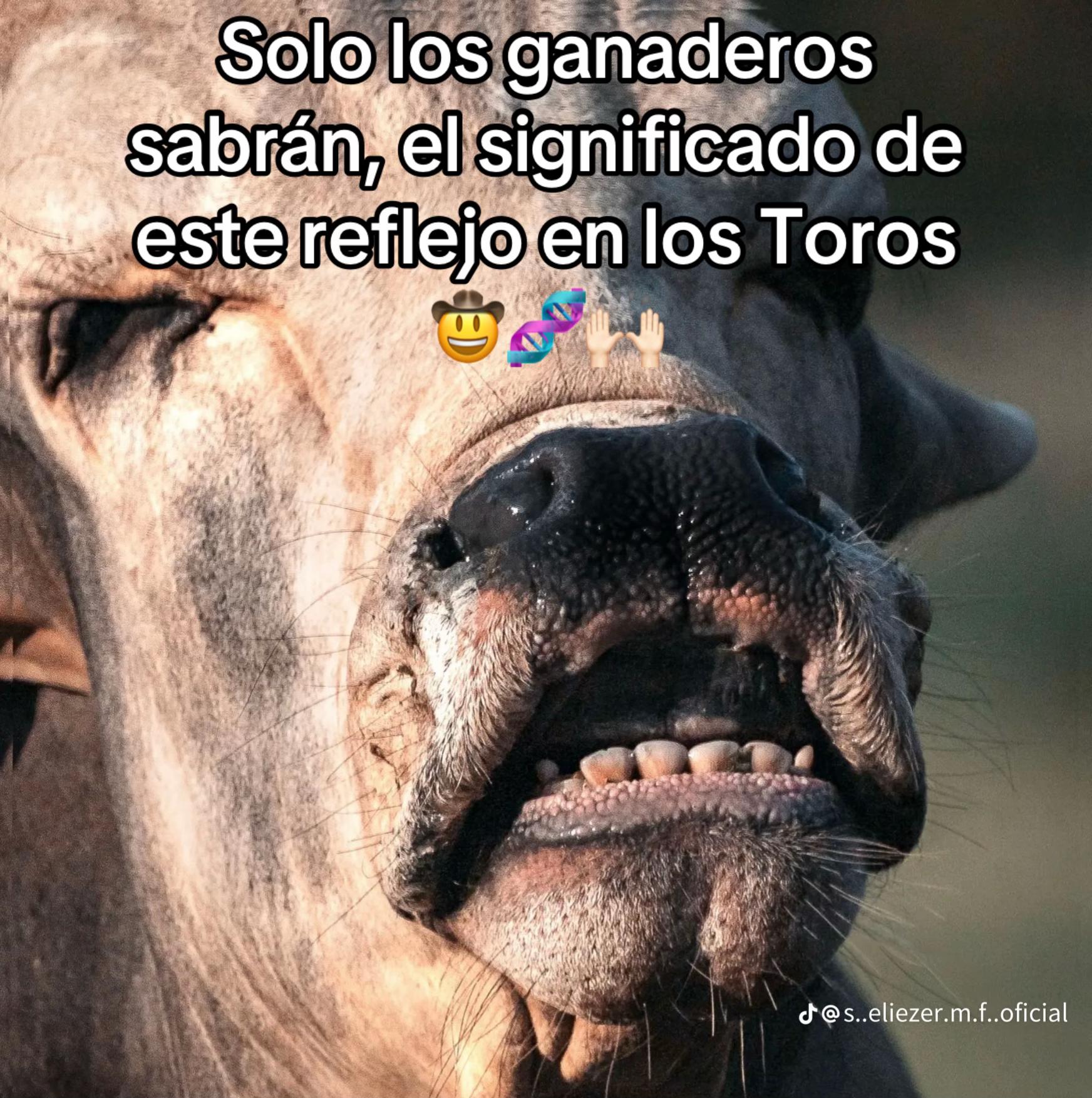 @🩺M&eacute;dico Veterinario Vilchis🤠