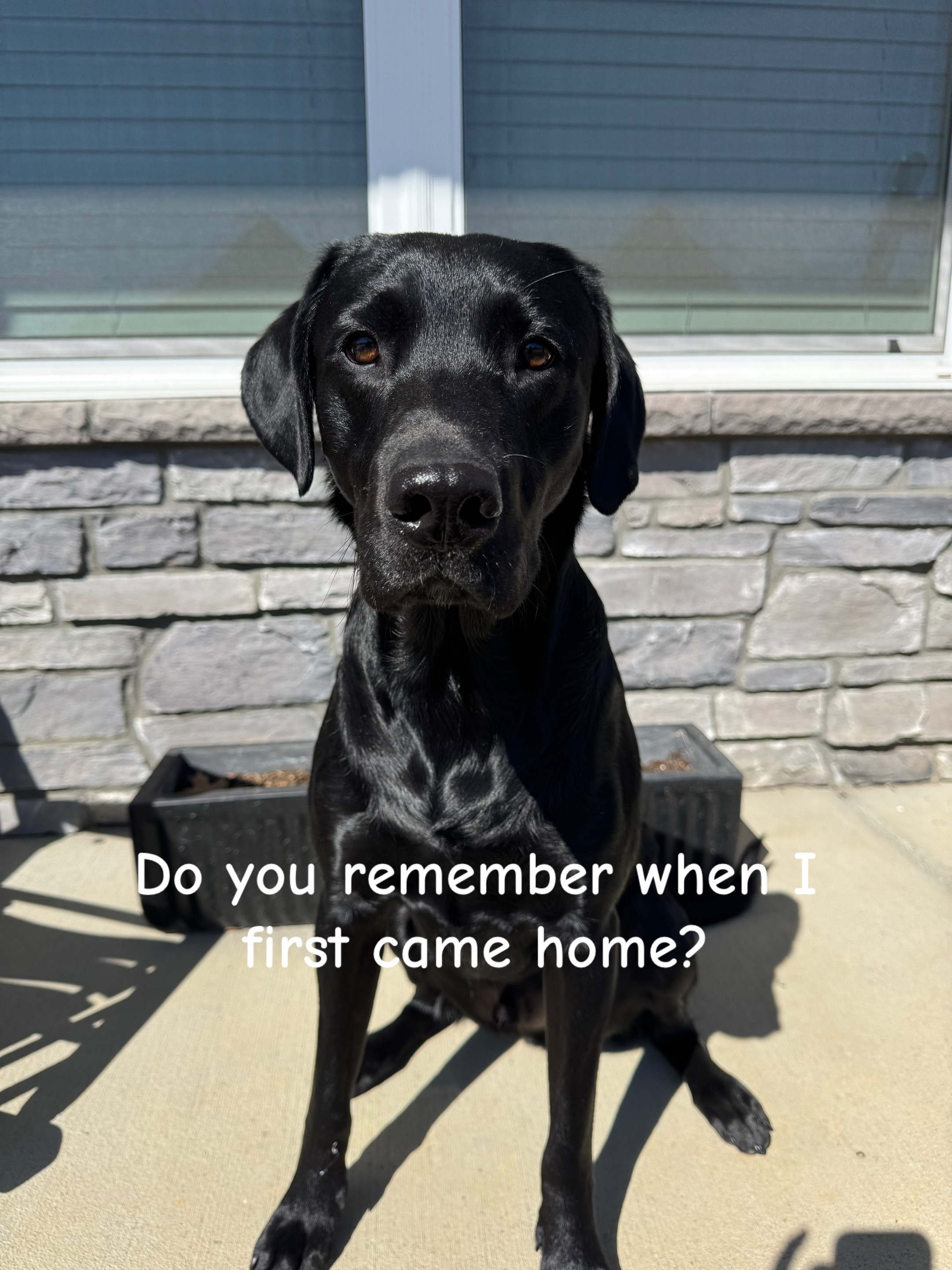 @ghostblacklab