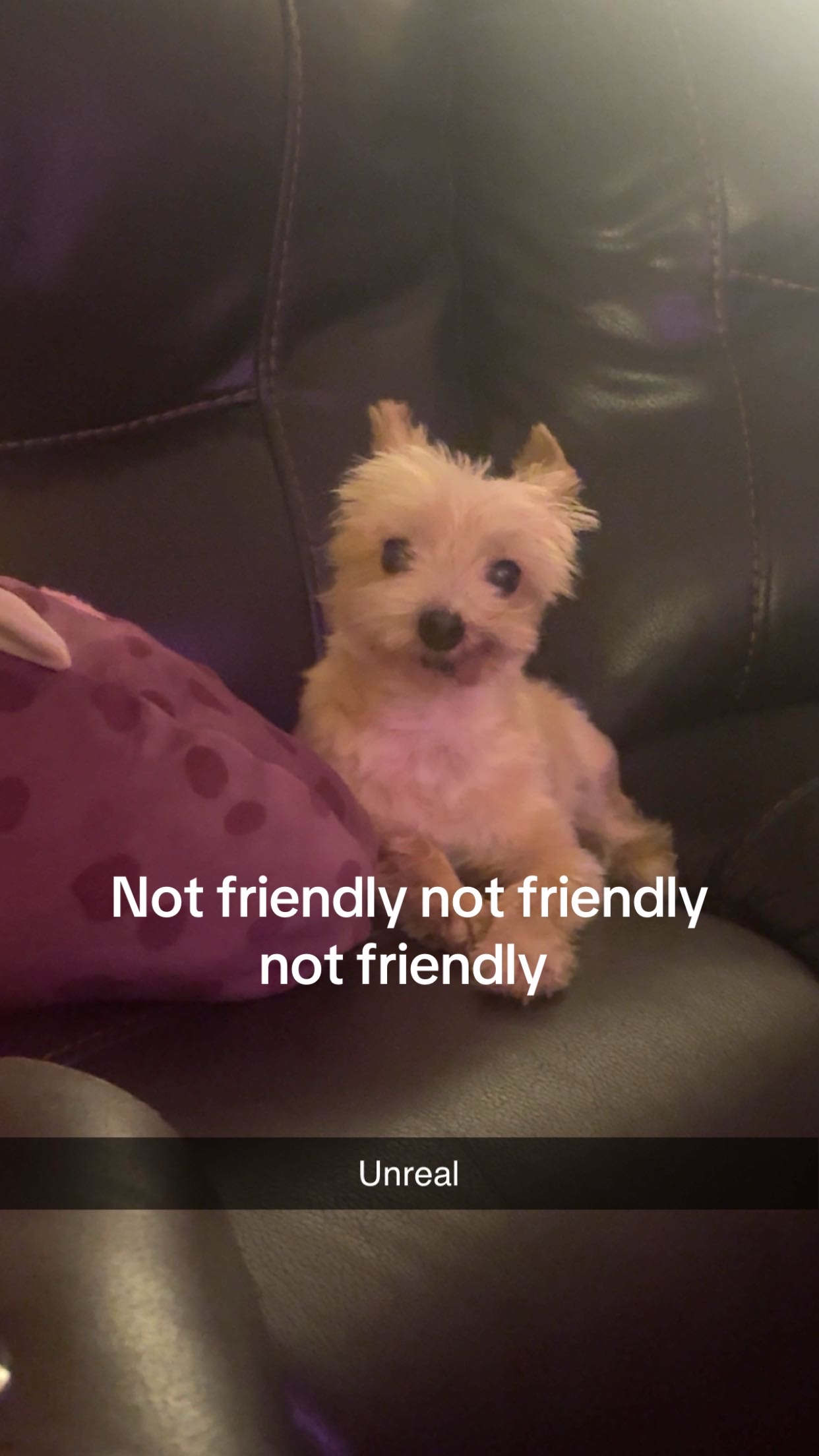@lil