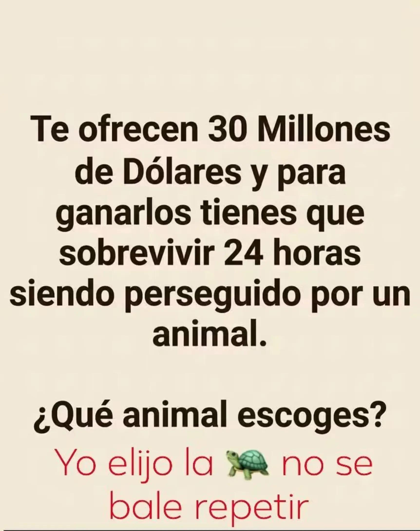 @GENESISLAPROFETA🌈🔮🍀
