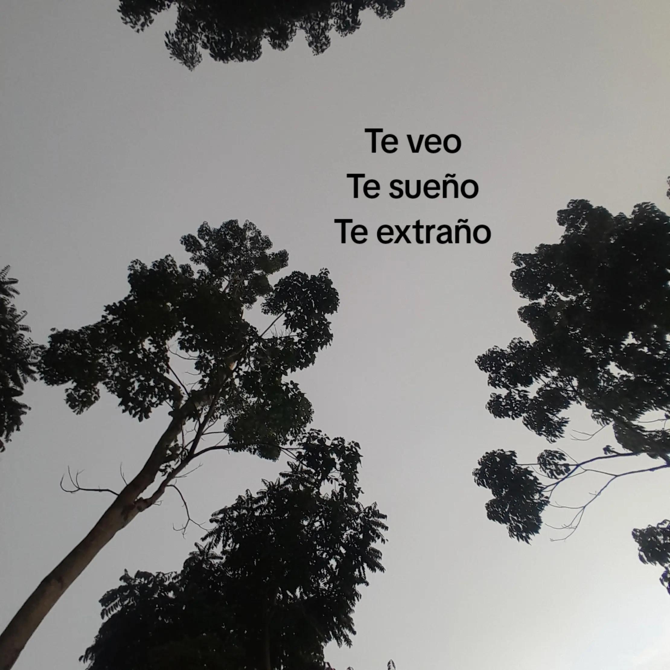 @Cuenta  dedicada  a  "A" 💕