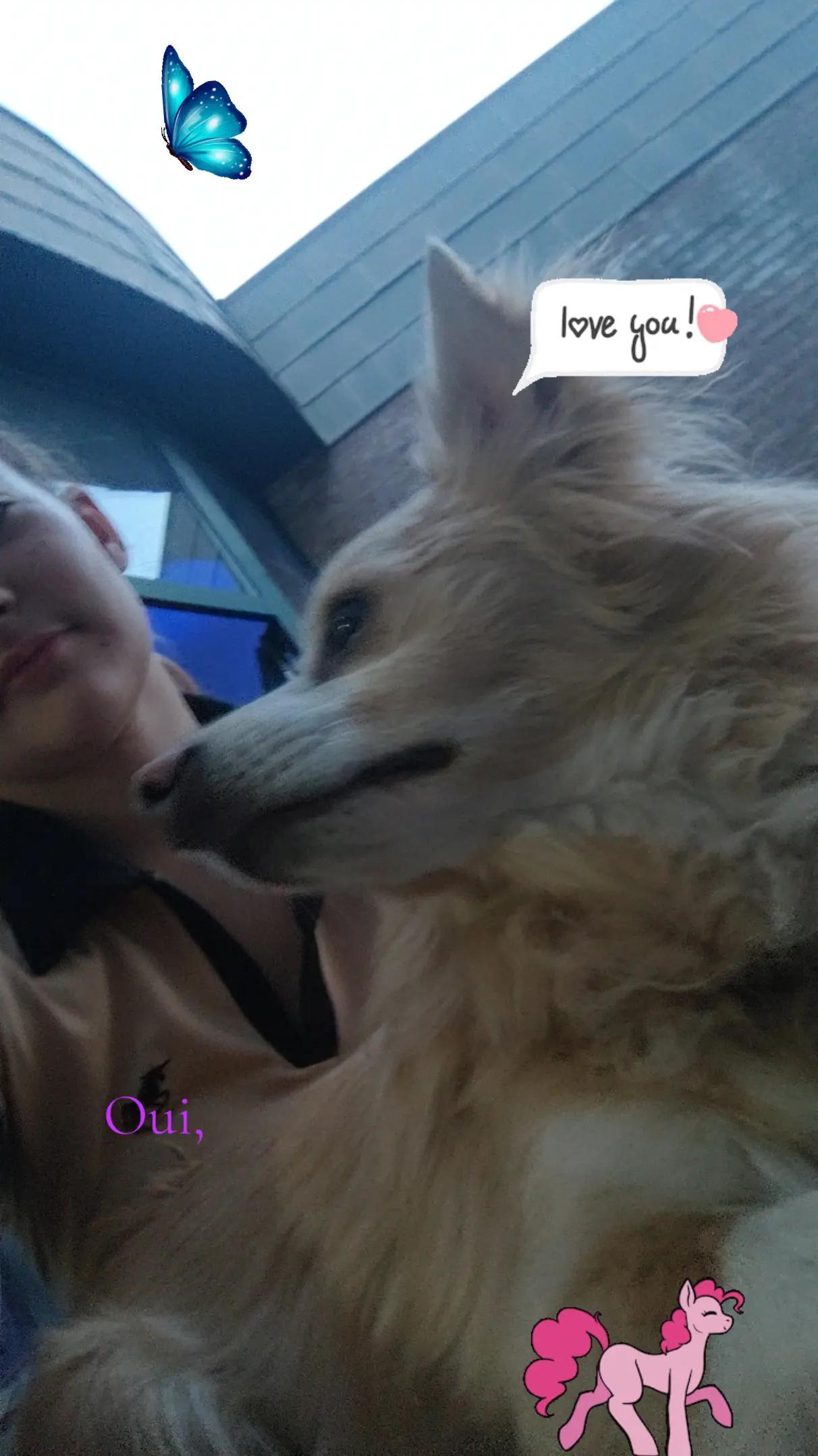 @๐ฟ๐๐๐_๐ค๐ โโ