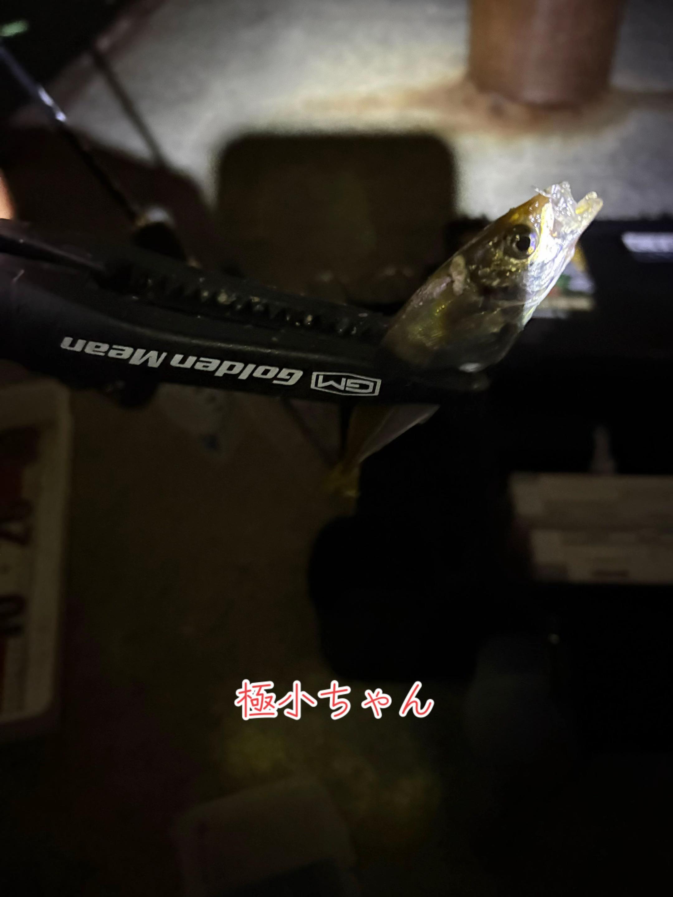 @࿗༺ 𝓚𝓪𝓽𝓾𝔂𝓪 ༻࿘