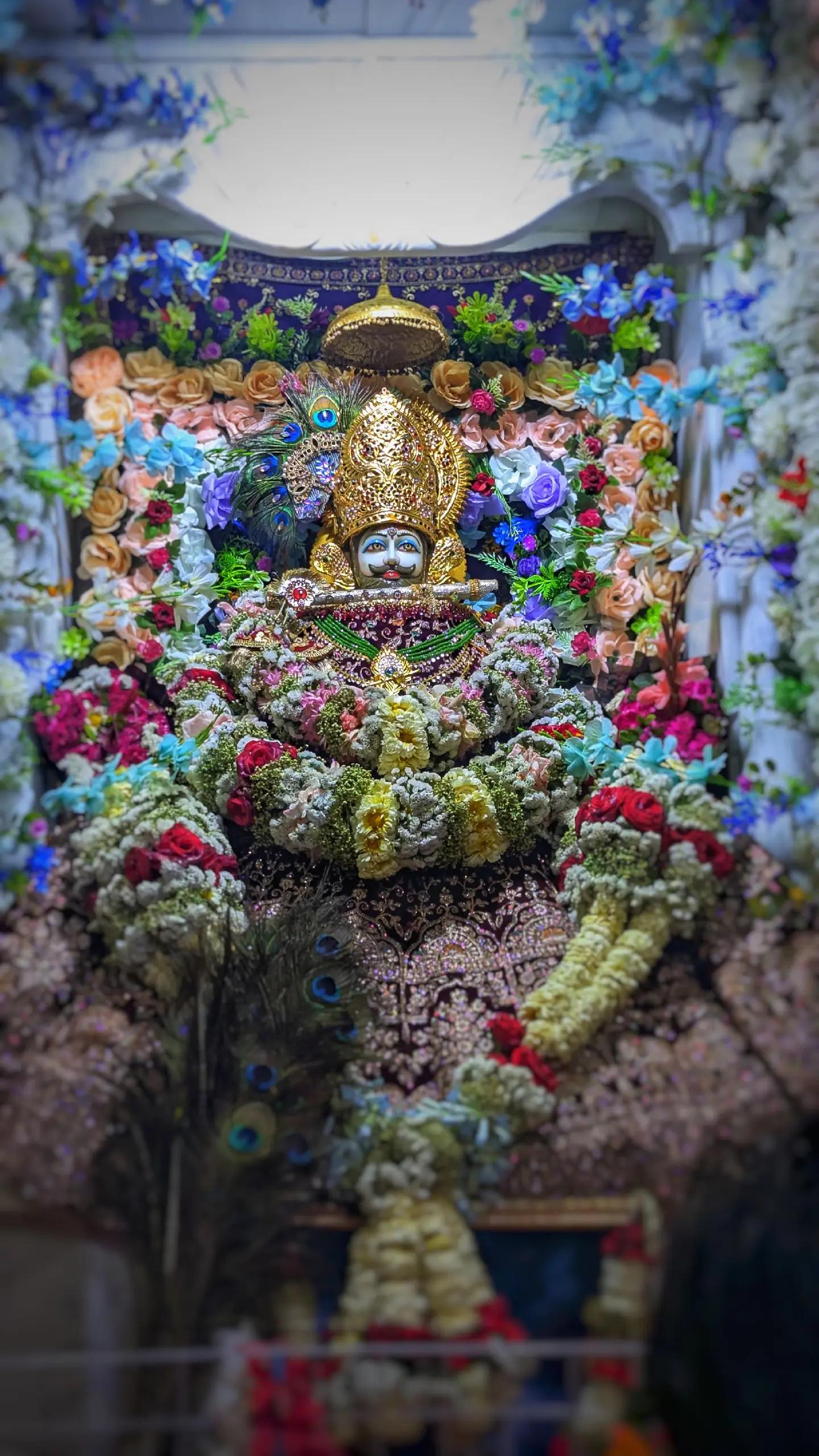 @shree shyam premi🫶🚩🕉️✨