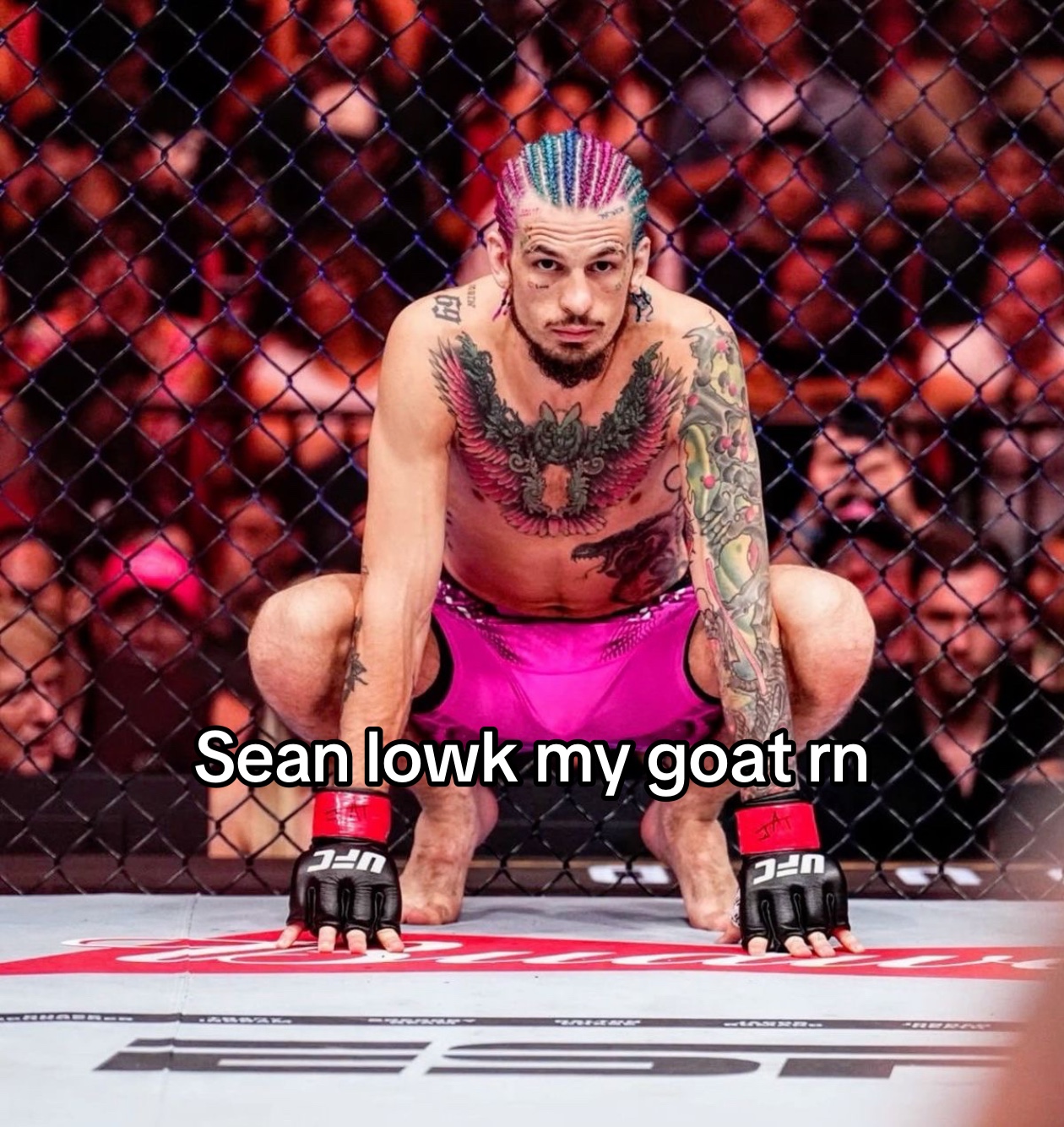@Jeffrey Epstein