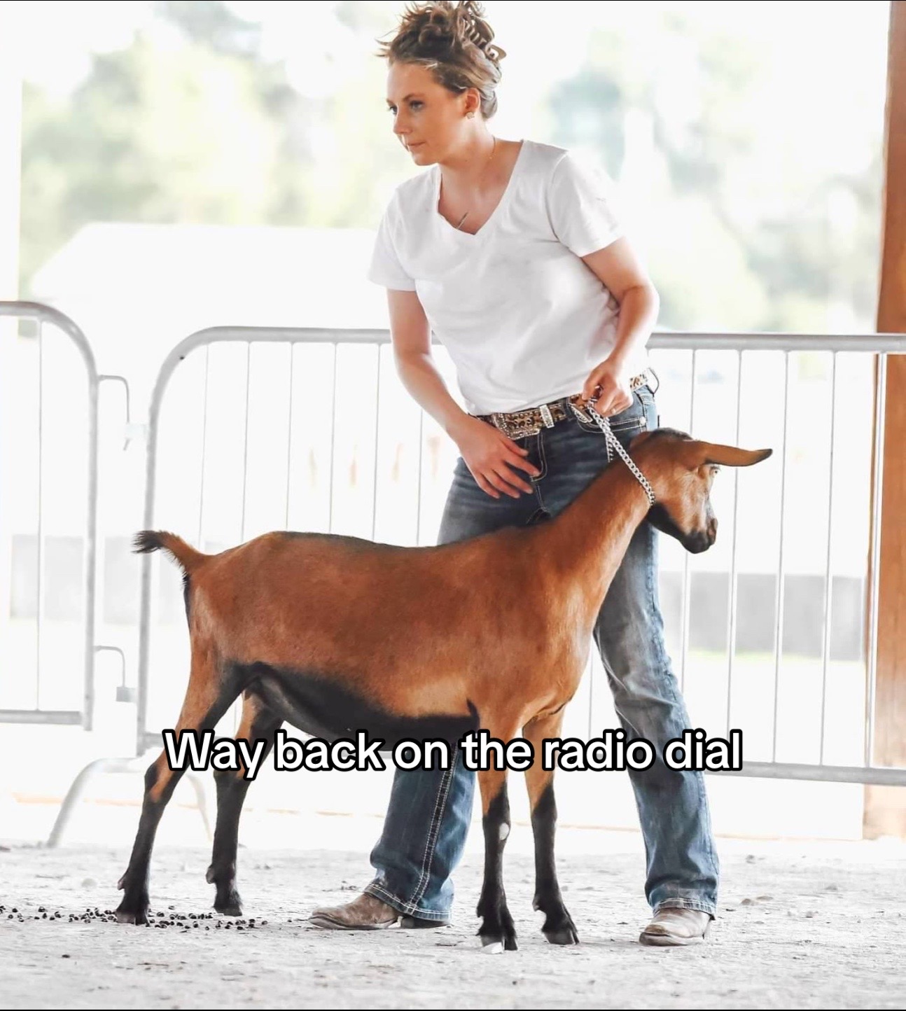 @Maple Leaf Livestock