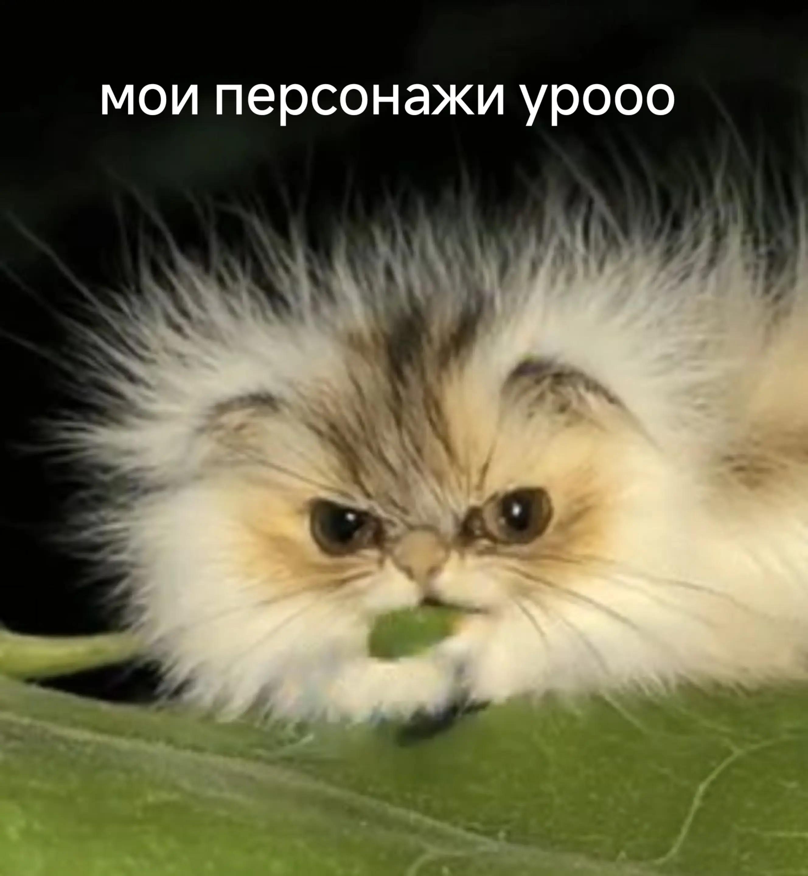 @Сергей тапок