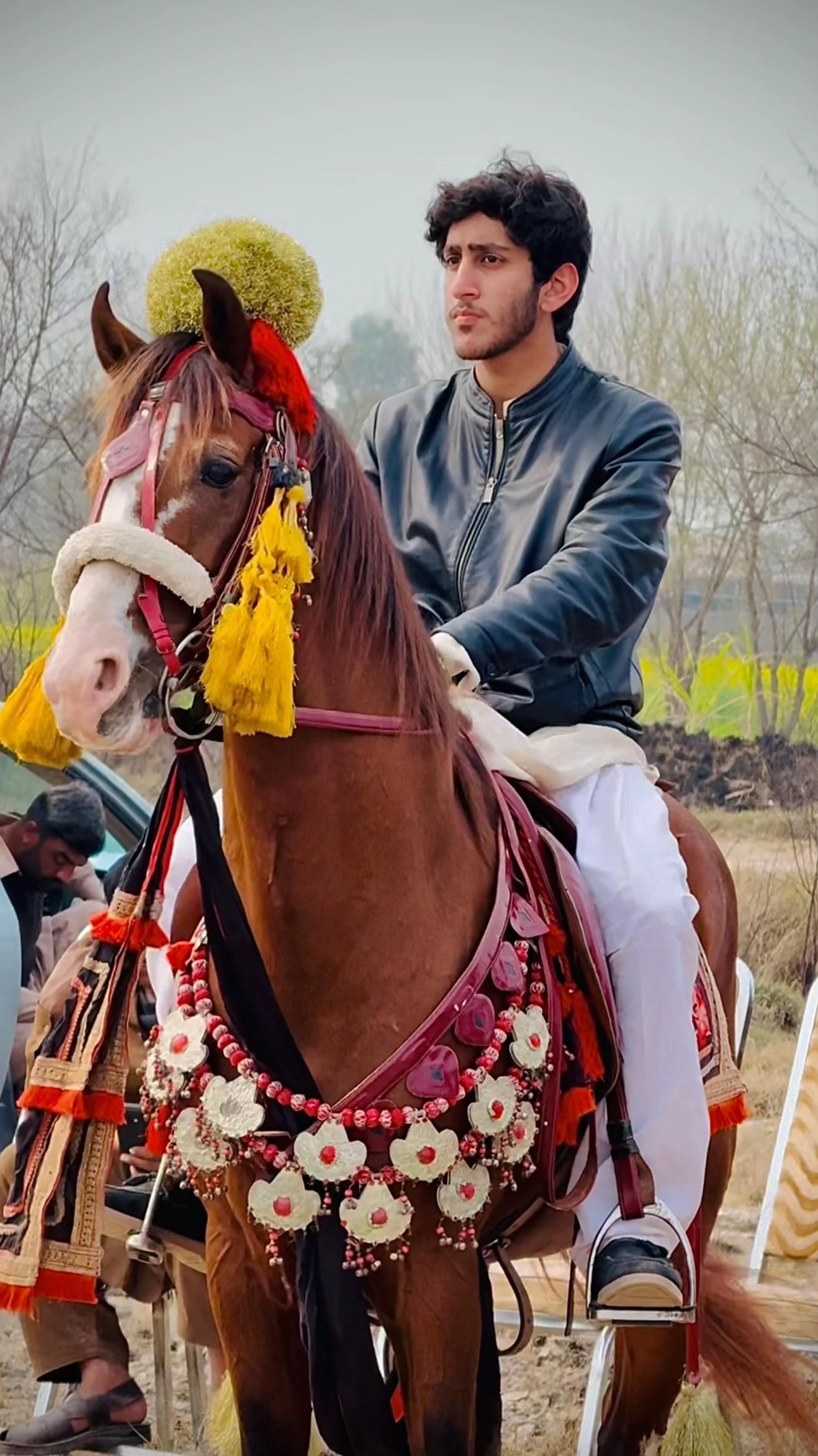 @Syed M Shah Murad❤️