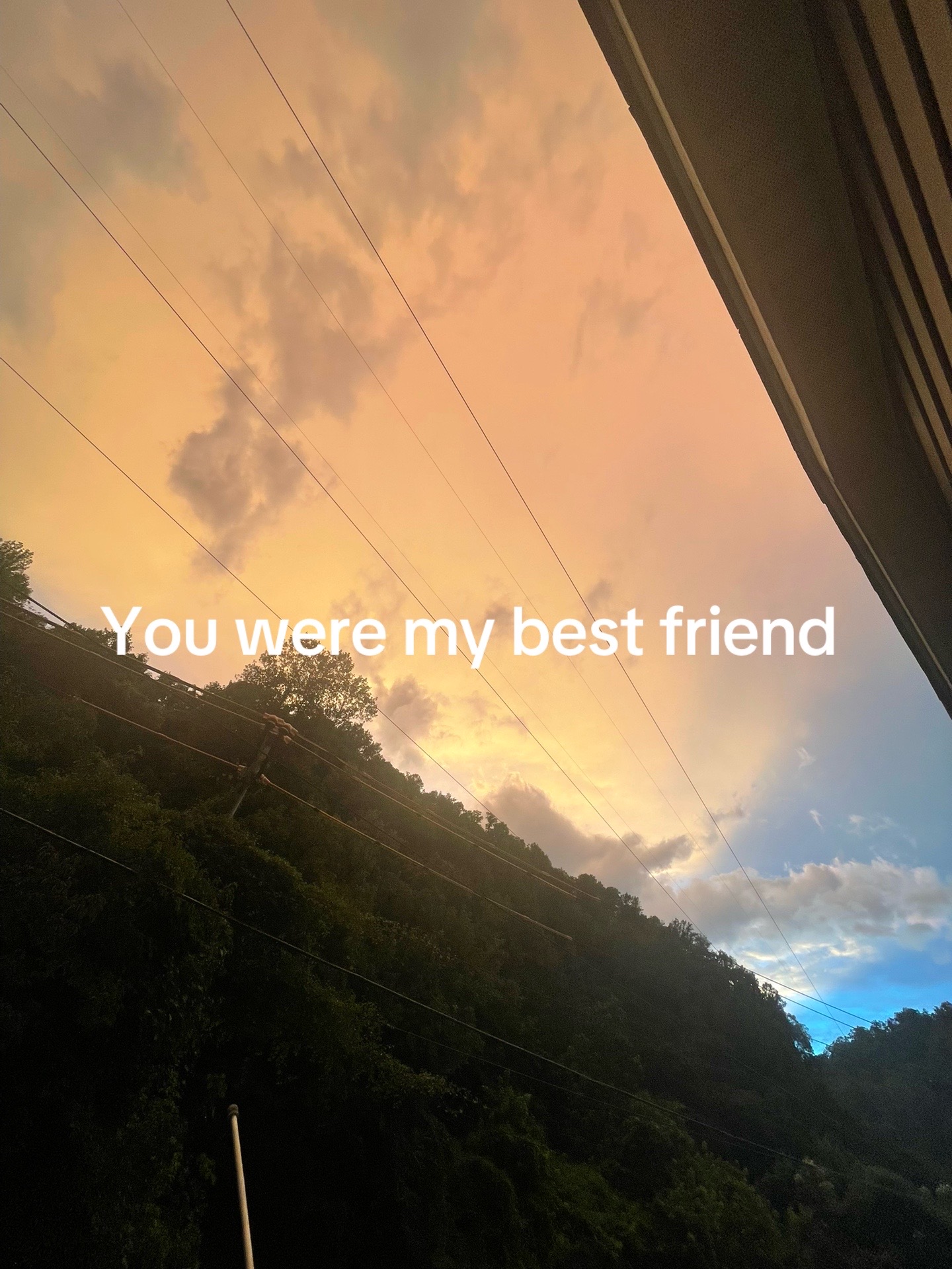 @💜✩🐾Sky_Essas🐾✩💜