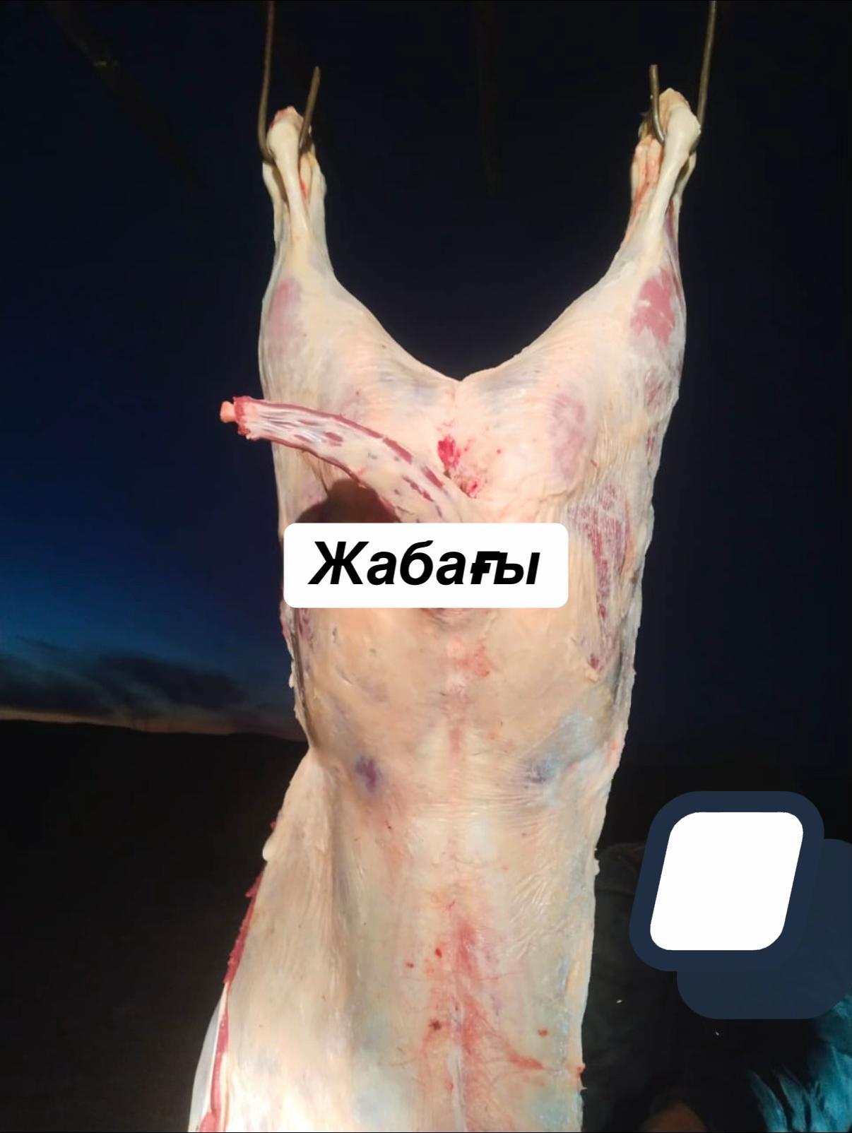 @kh_akferma09