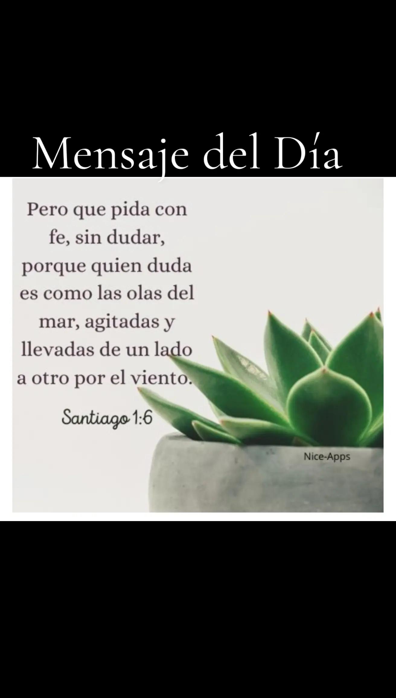 @LA VerdadLQUESEDICETV  Mvsegur
