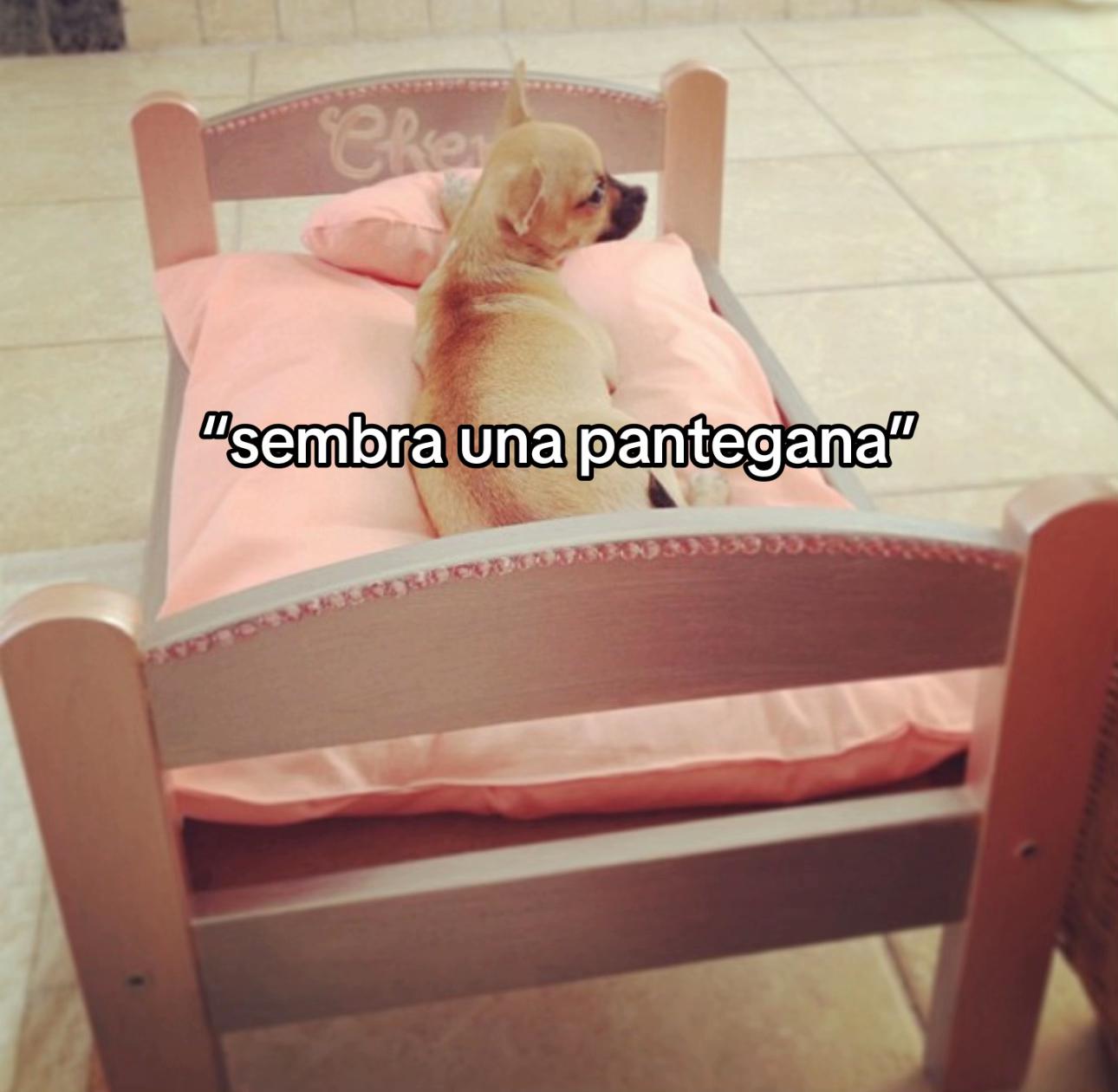 @Carlotta Pini