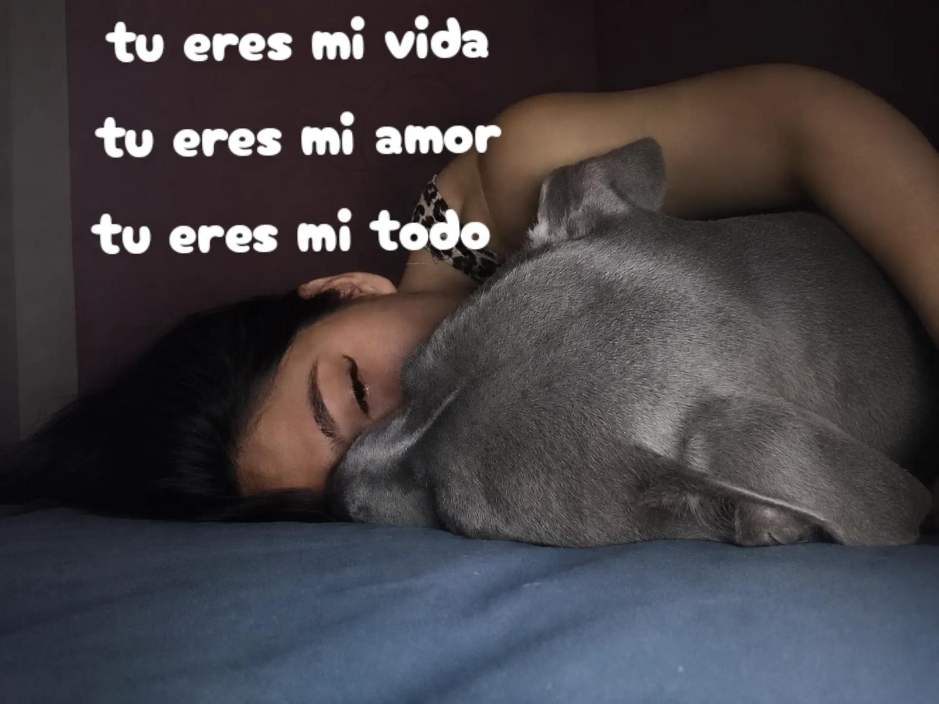 @💋ARODASI🩷