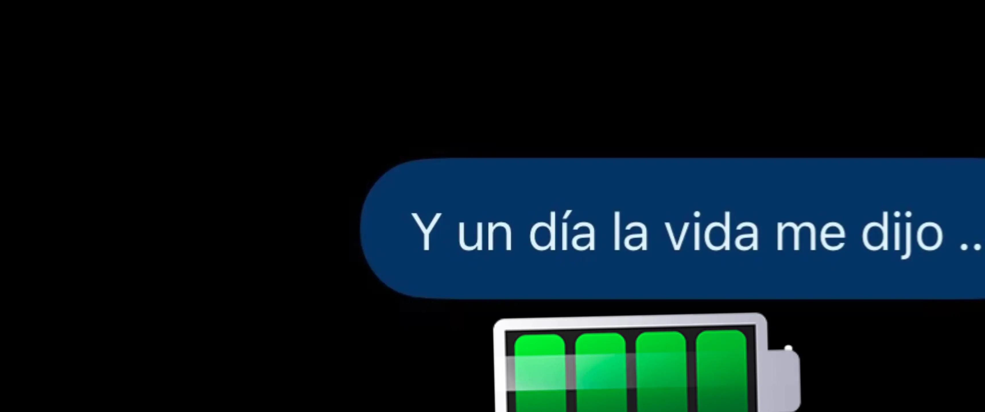 @paubonii