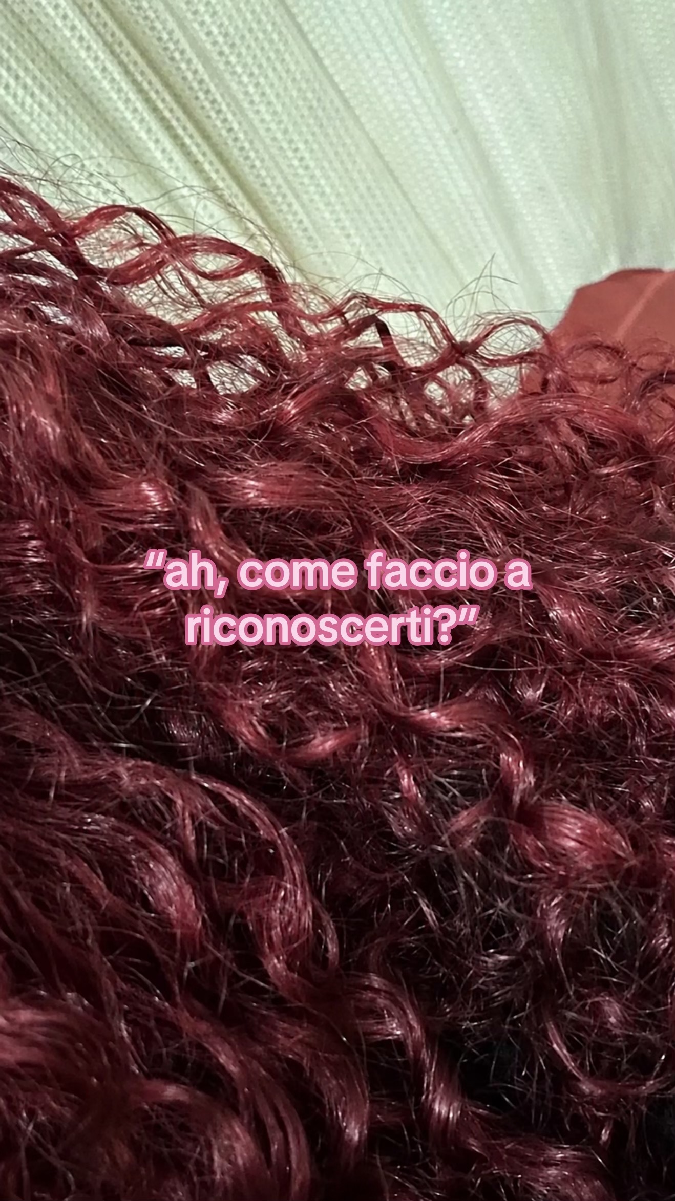 @ᥫ᭡.ִֶָ𓂃𝑠𝑢𝑛𝑓𝑙𝑜𝑤𝑒𝑟 ❀ೃ࿔