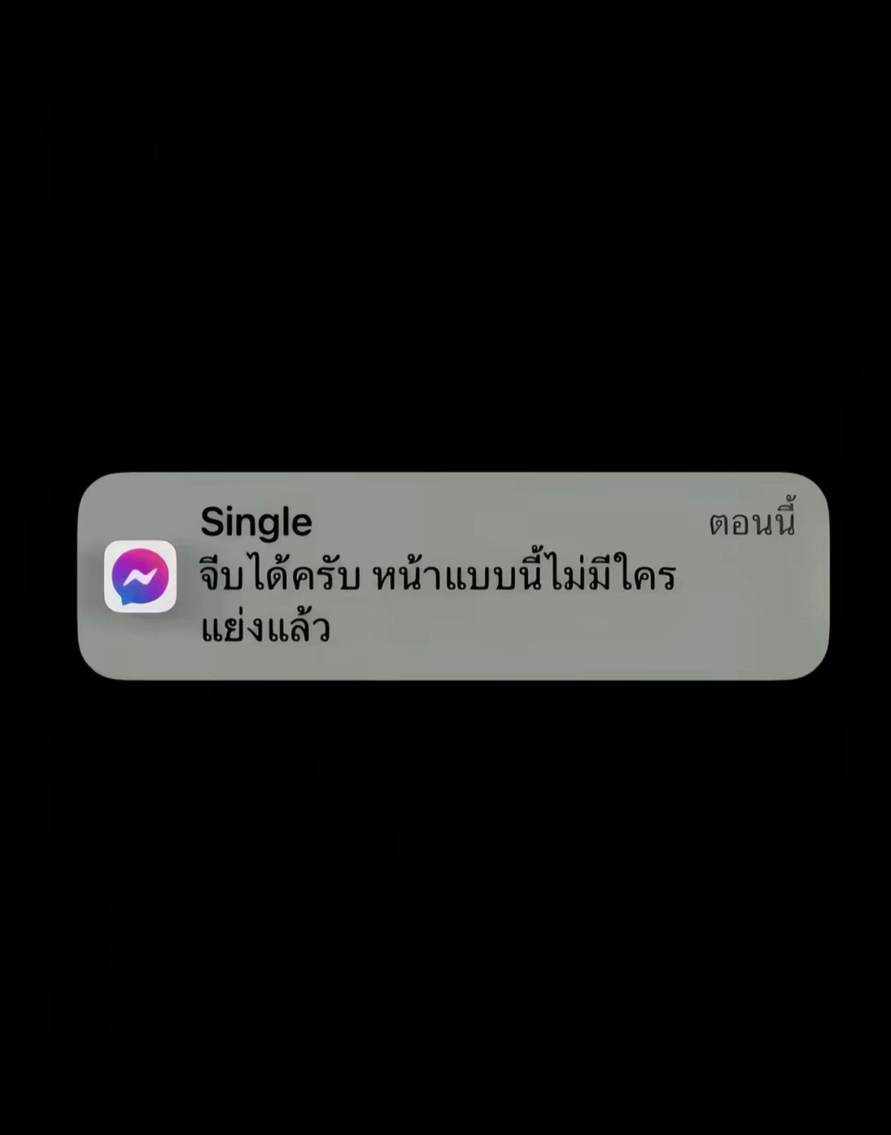 @เก้อเลี้ยงแมวเจ็ดตัว