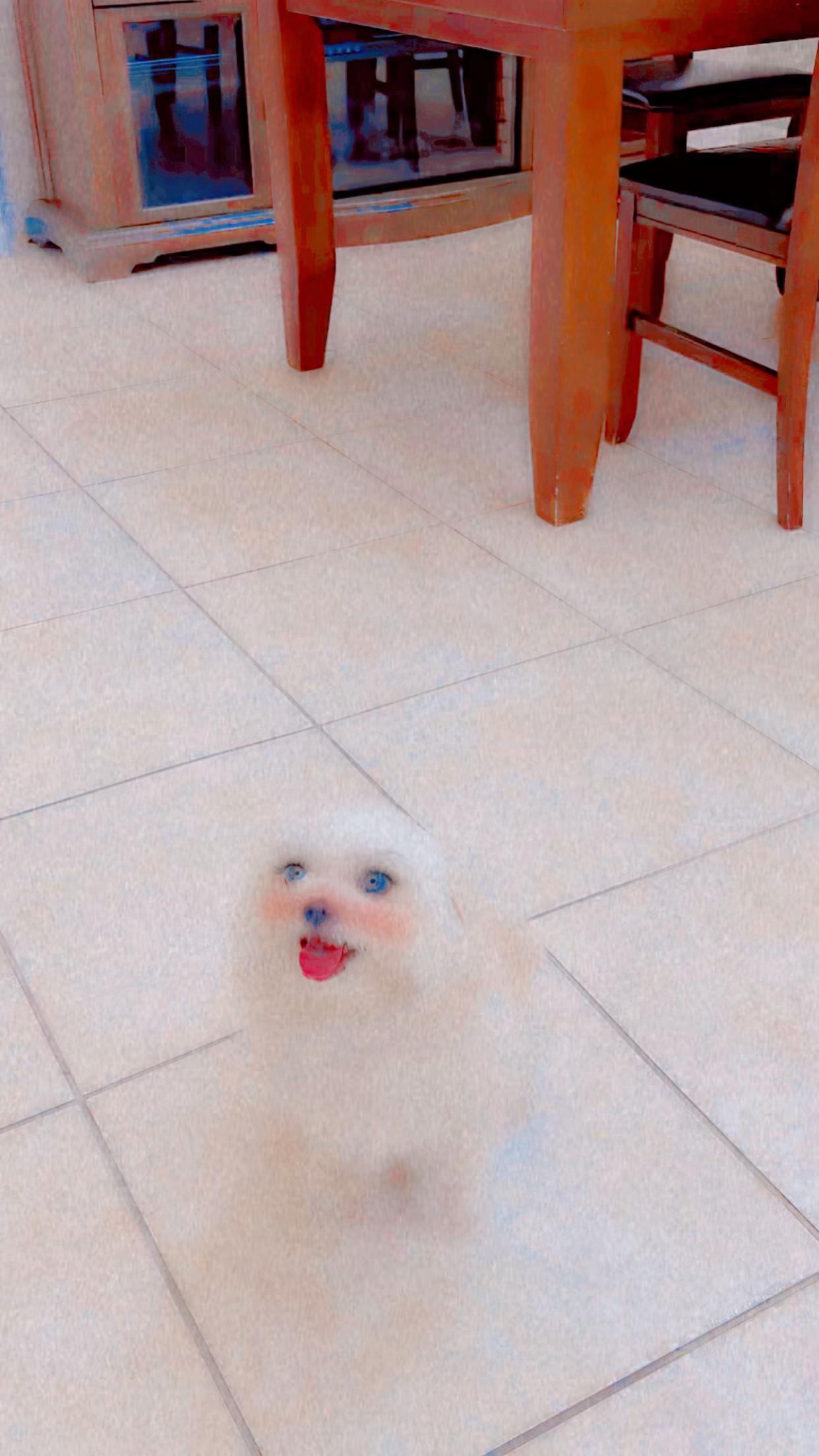 @๐ููุงุจ ุงูุดูุงุฑุน๐