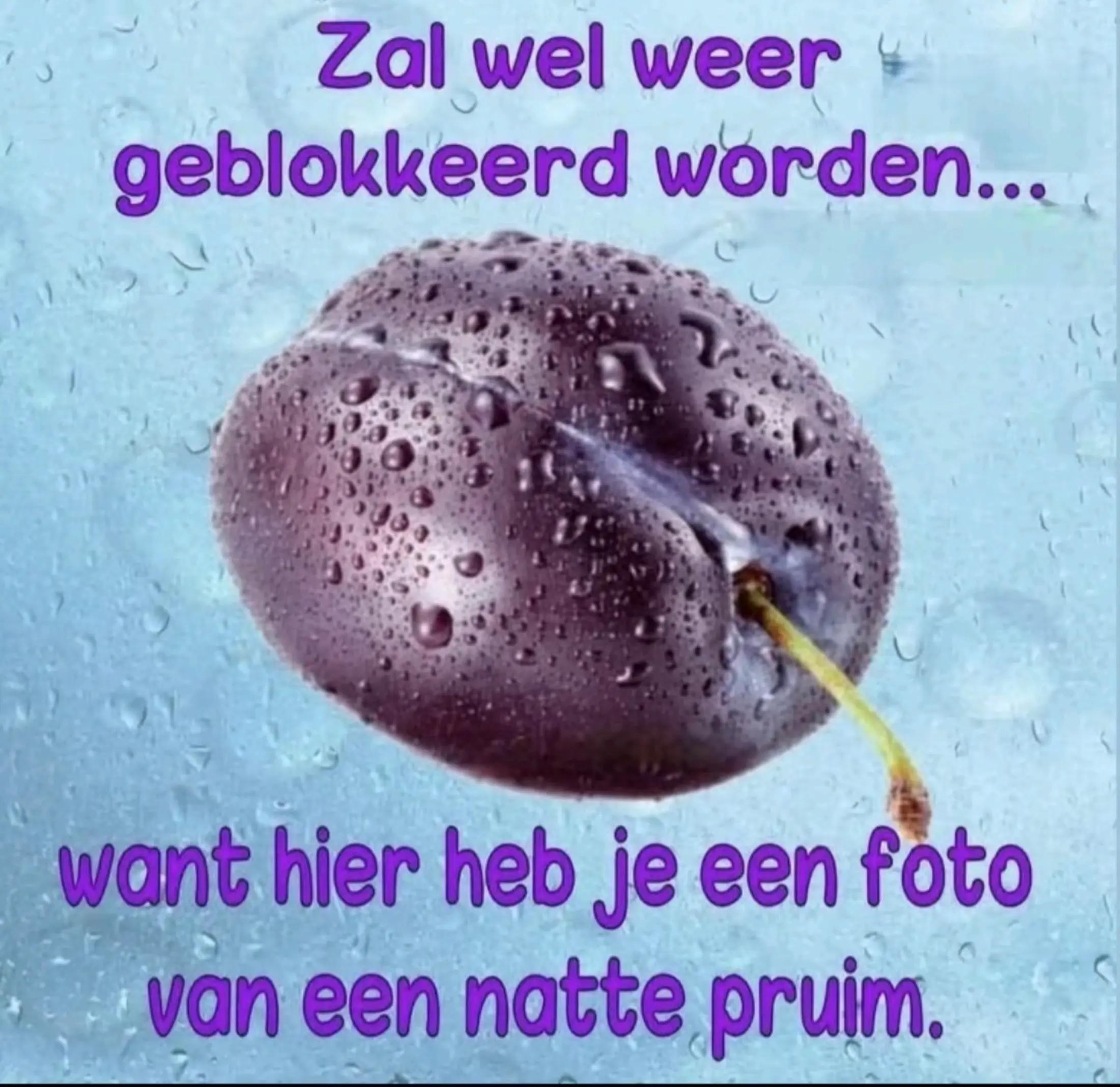 @willem