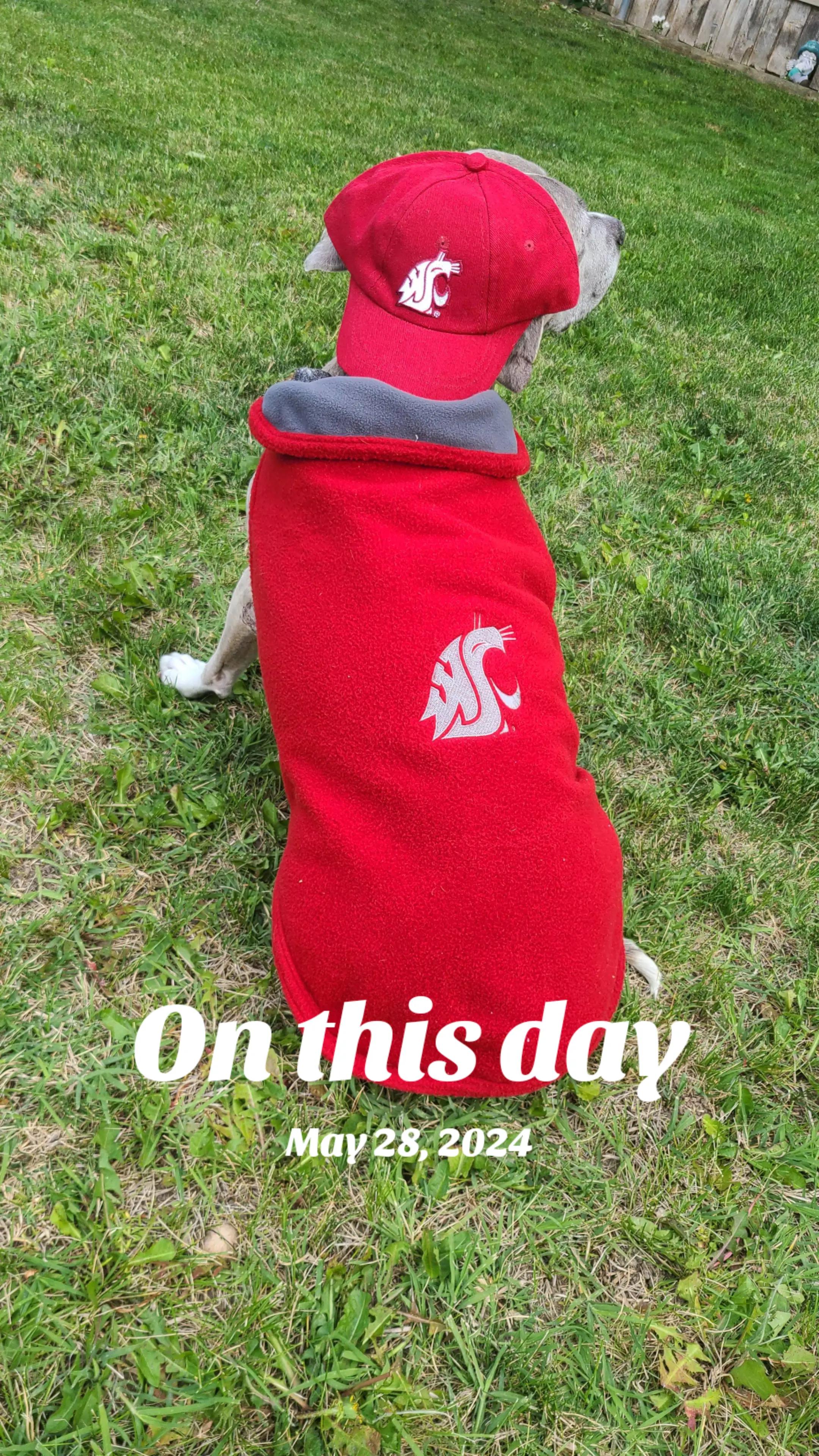 @Oatmeal 🐶🎧❤️🐕