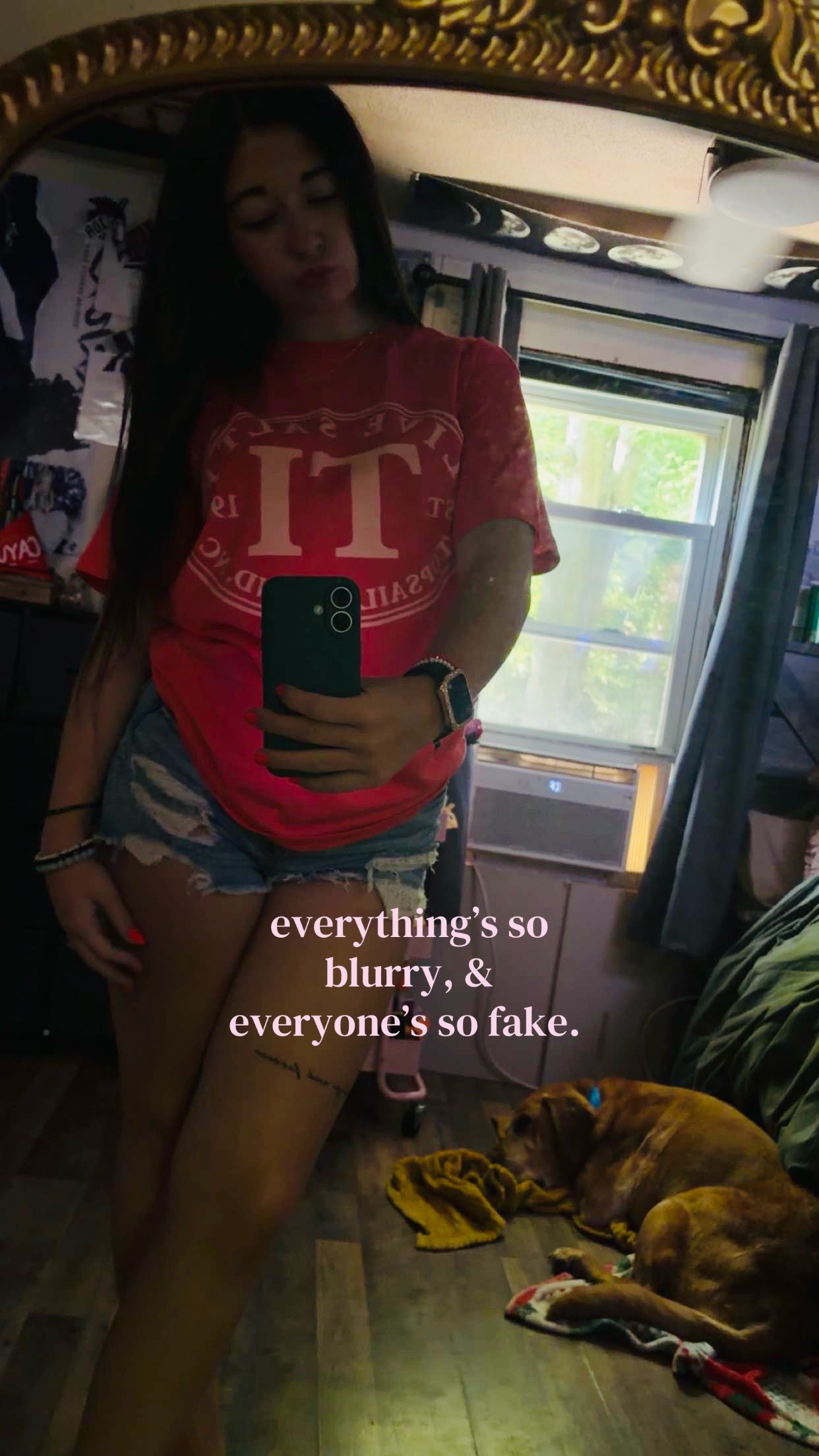 @haileyy🦈🪼🐚🫧