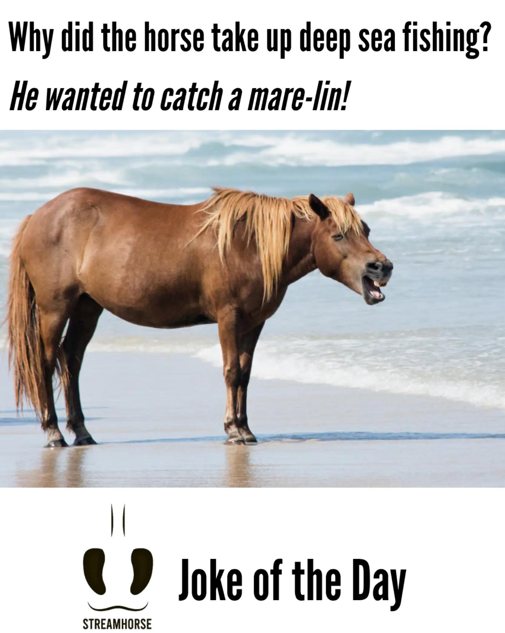 @streamhorse