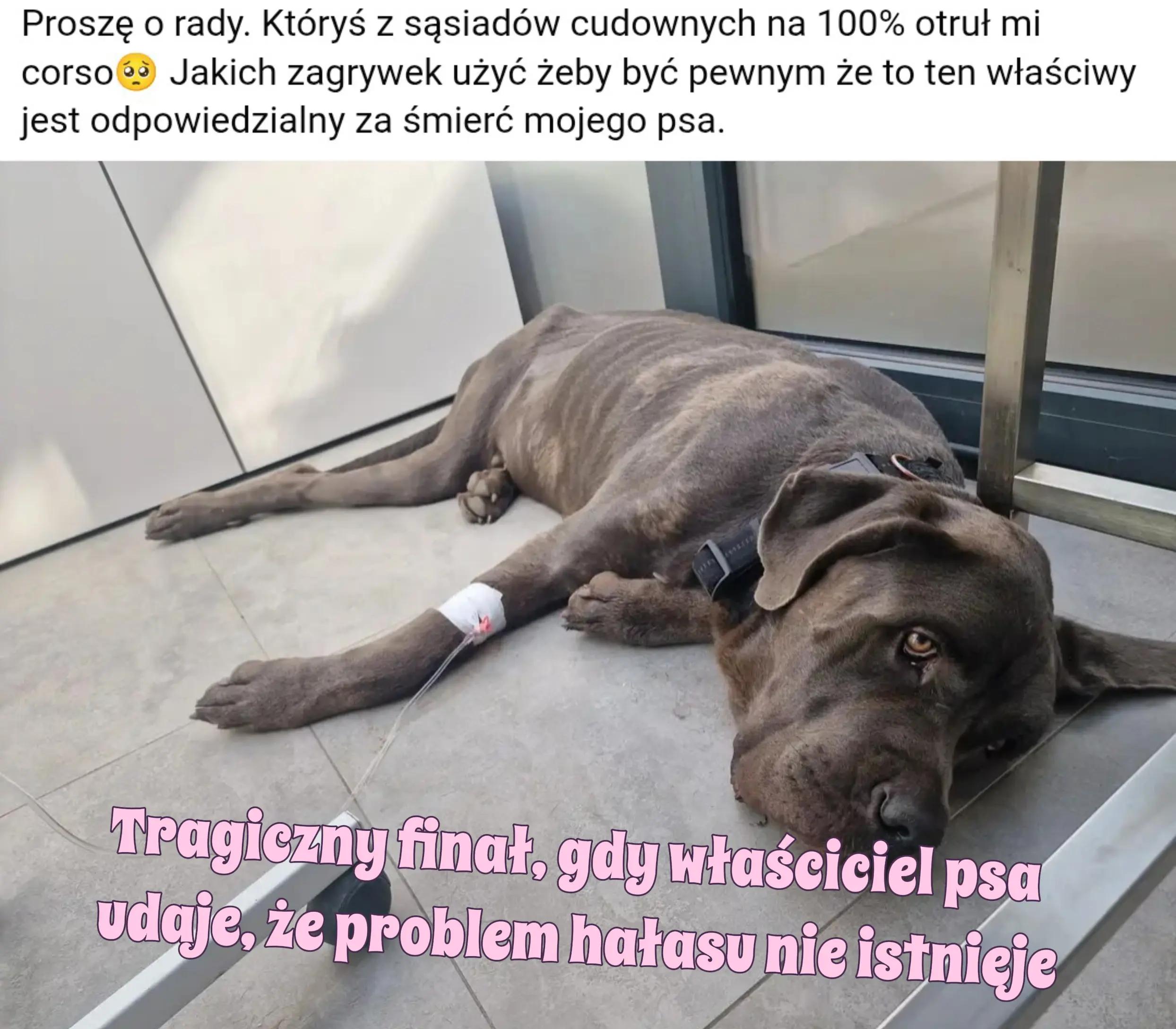 @Desiro