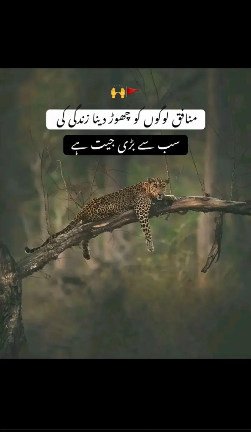 @🦅مظہر بٹ🦁ٹبہ آلہ🦅