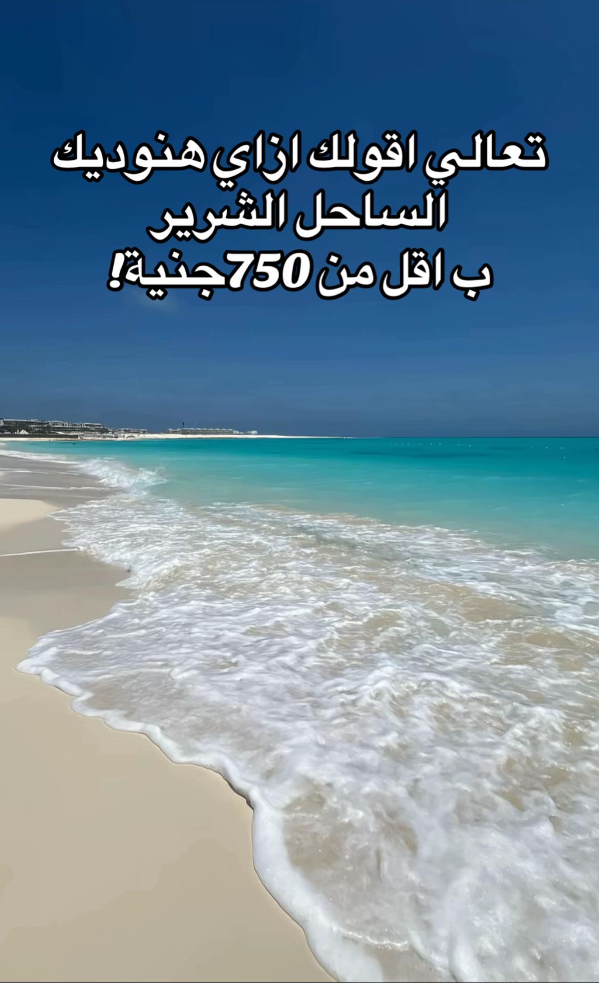 @ZM-TRAVEL🌊