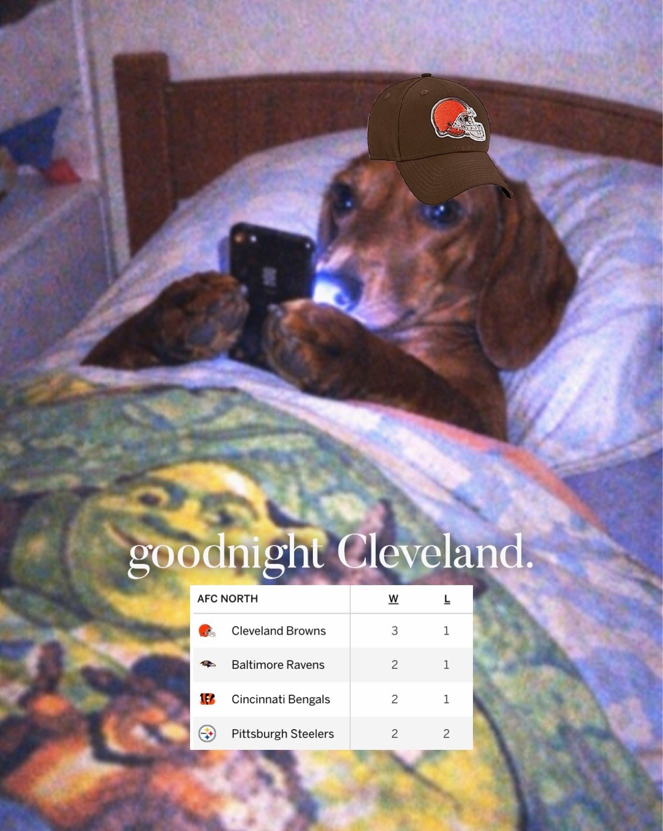 @Cleveland Browns