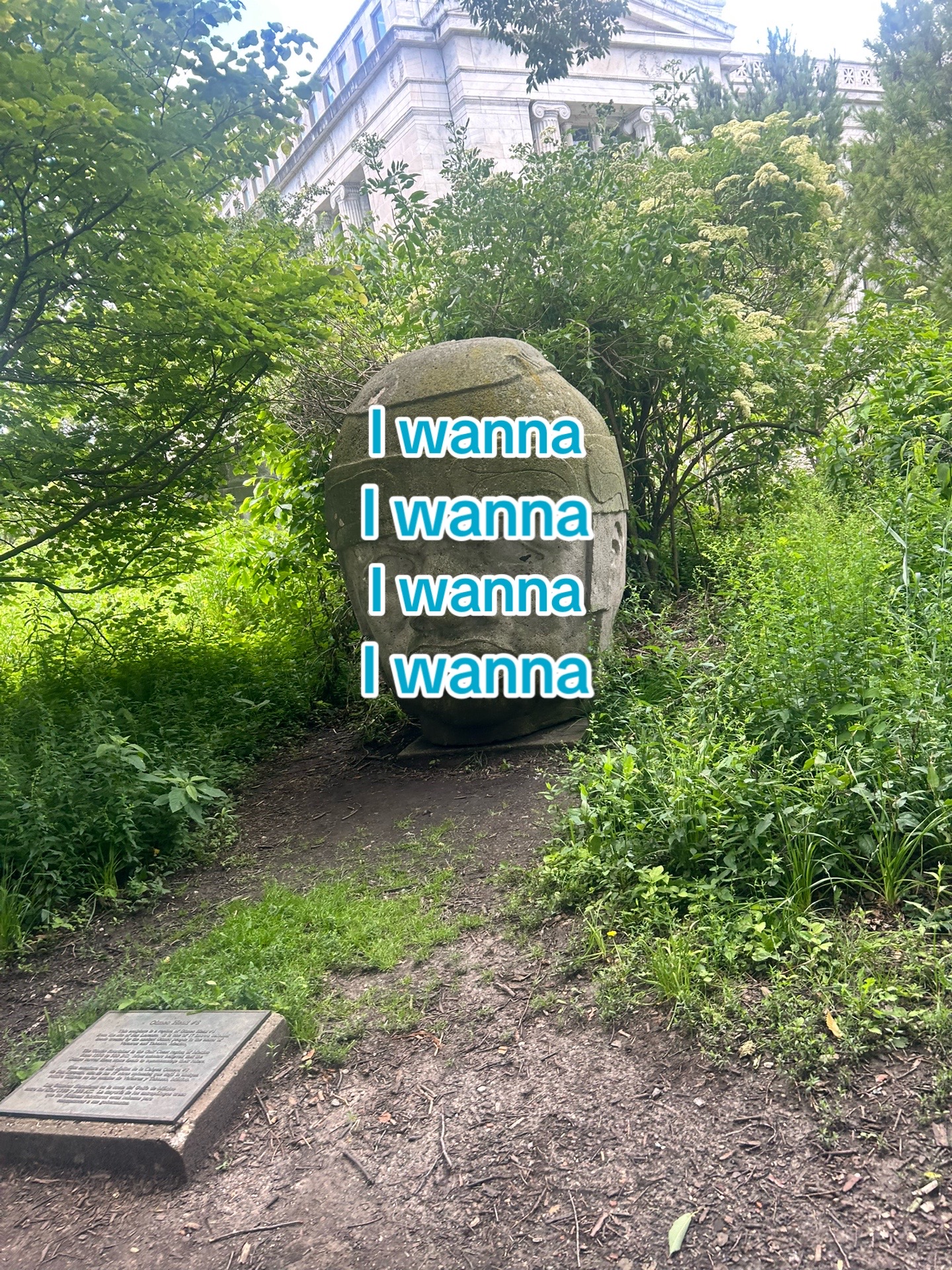 @Da man 🦎