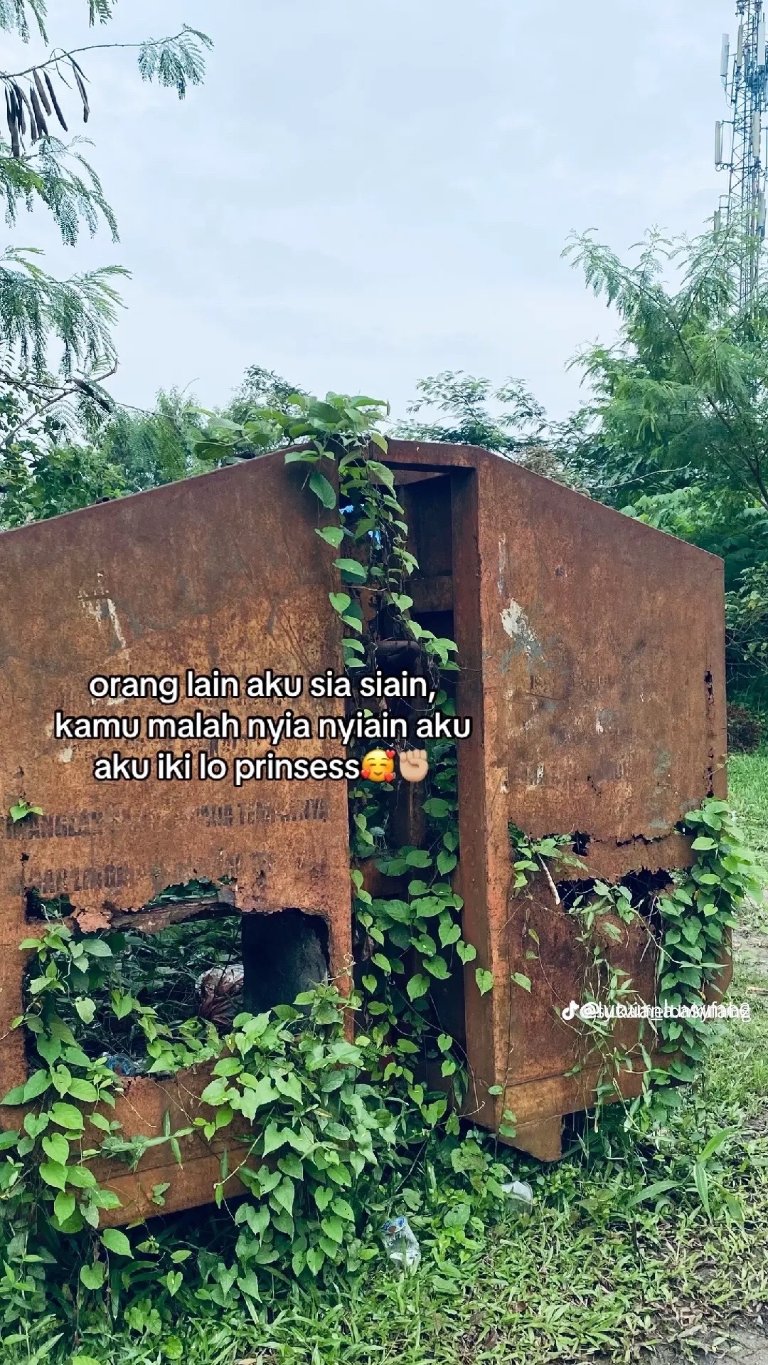 @ticaa