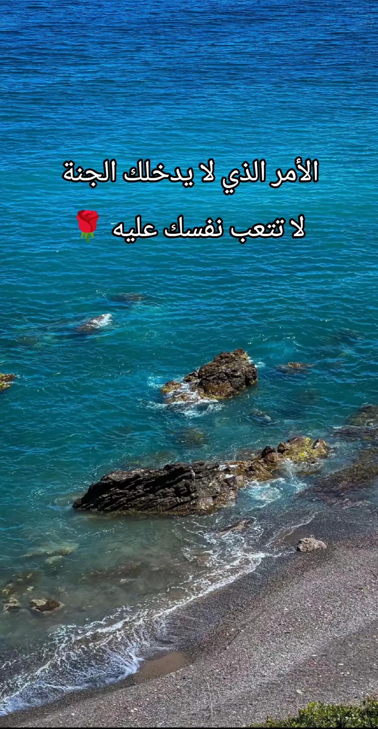 @🌹 خَلَفْ لِخَيْرِ سلَفْ 🌸📚