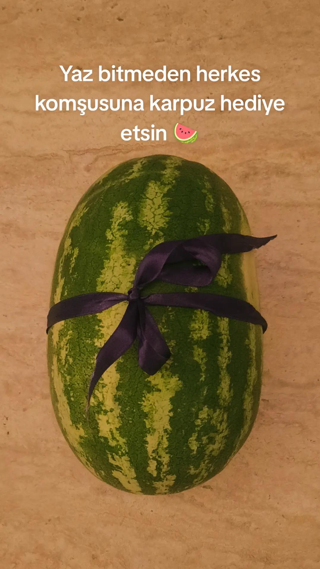 @Reyhan Dağ