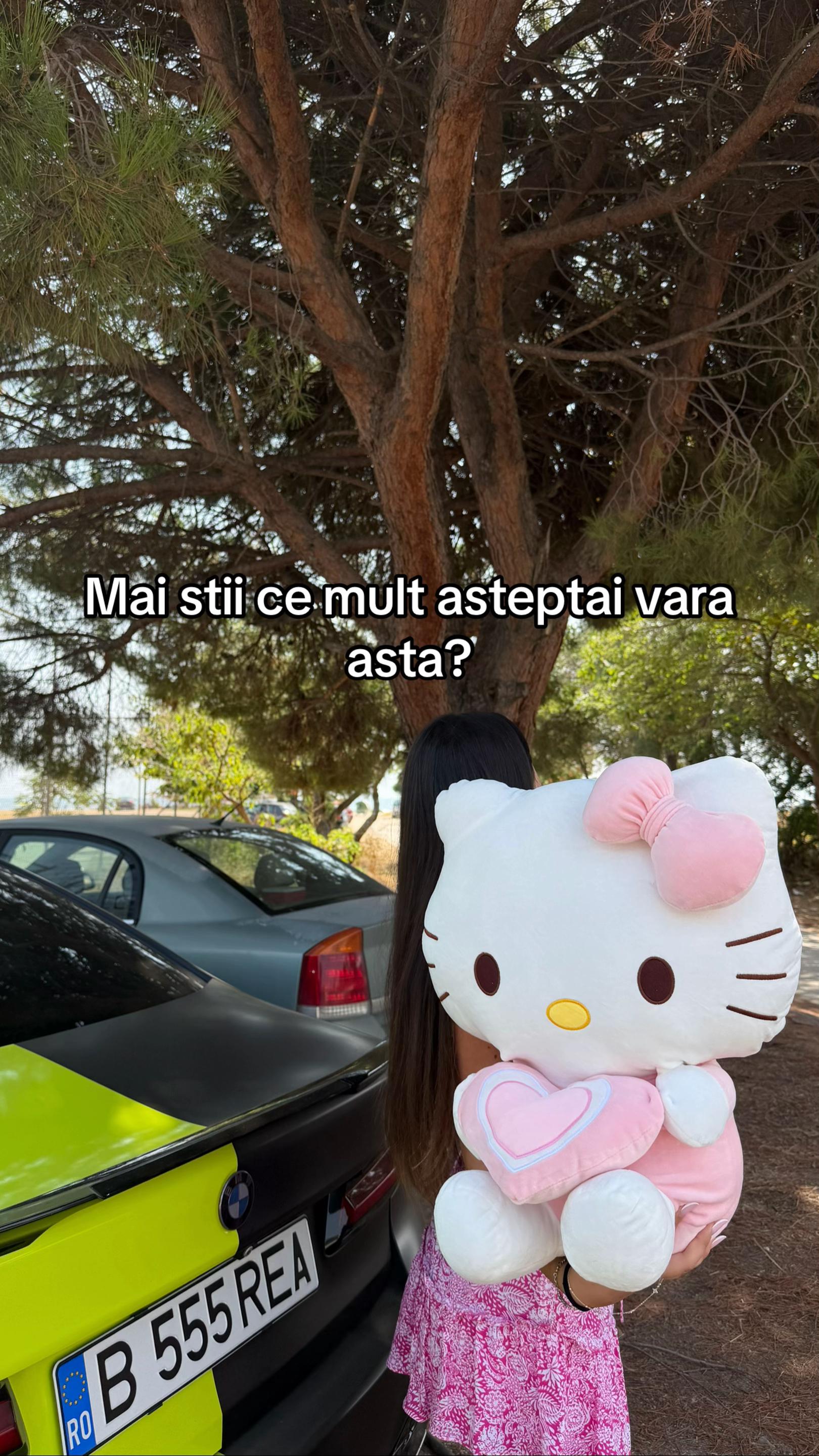 @Rheea Roses