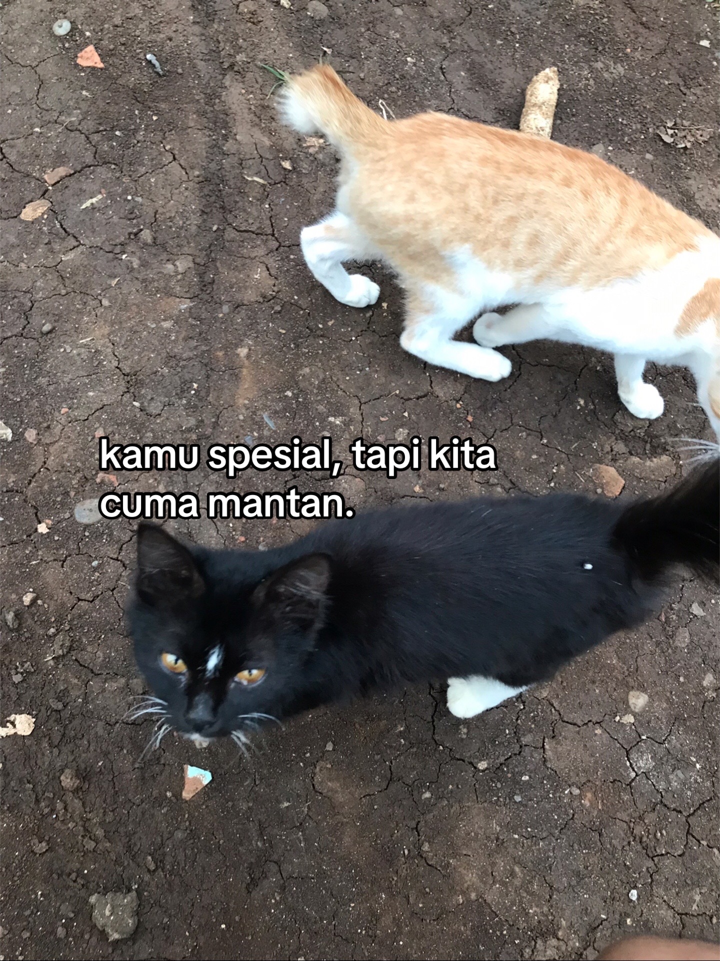 @andri💫