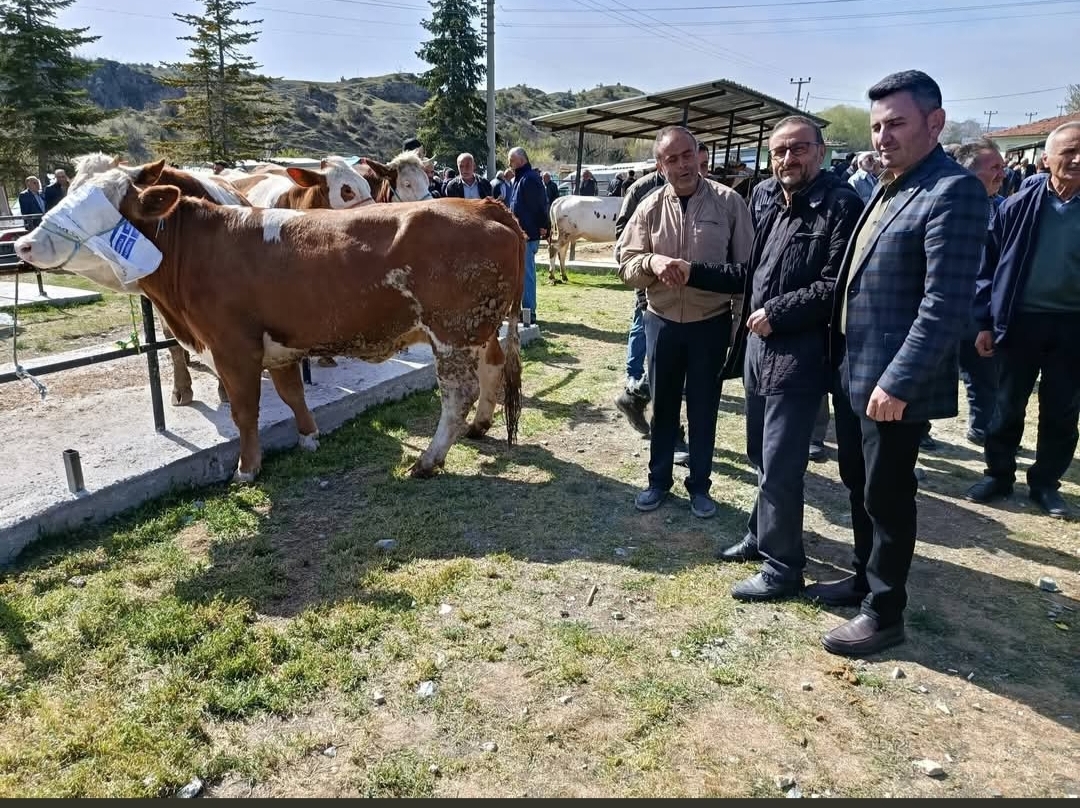 @🇹🇷 T.C Yalçınkaya Yunus 🇹🇷