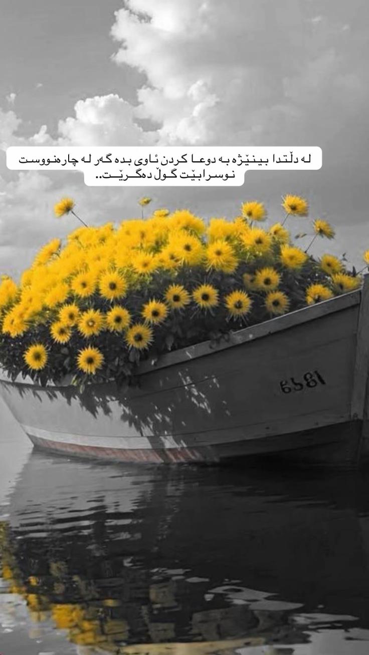 @﮼تریٓ 🍇