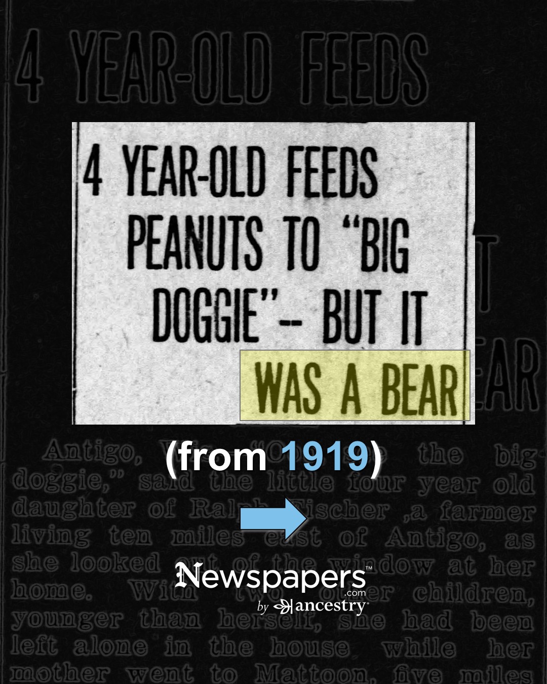 @Newspapers.com