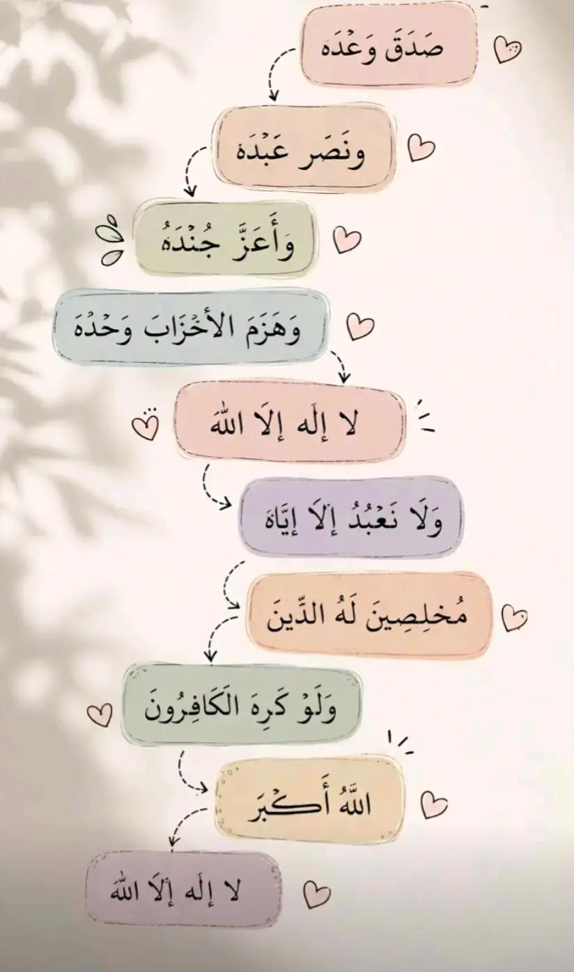 @Asmaa Halimi